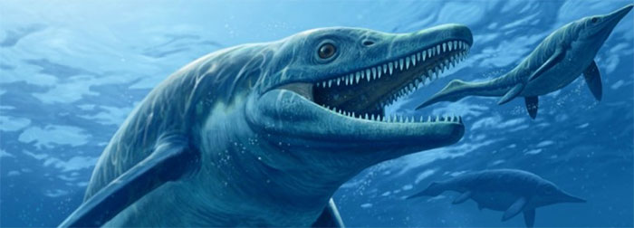 10 quái vật ăn thịt kinh hoàng nhất lịch sử Trái Đất: Số 1 là nỗi kinh hoàng đại dương- Ảnh 18.