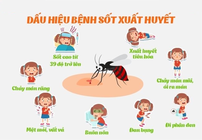 Sốt cao, mệt xỉu vì "bệnh quen", bác sĩ cảnh báo nguy hiểm - Ảnh 2.