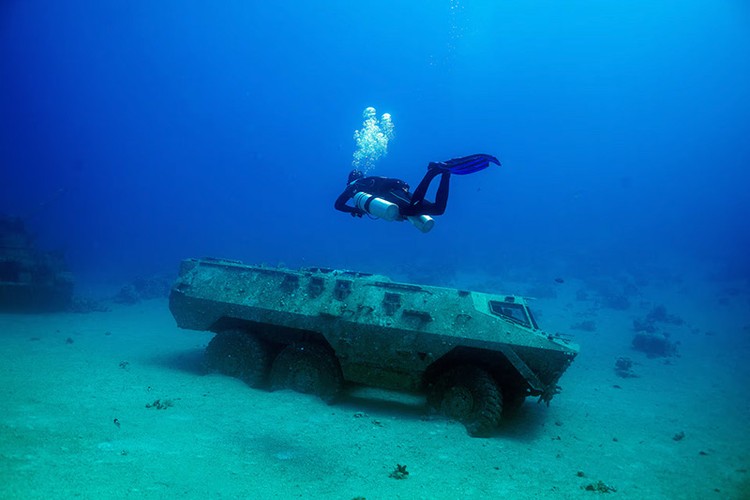 Ảnh độc đáo những chú cá bơi lội bên xe tăng tại bảo tàng quân sự dưới nước- Ảnh 3.