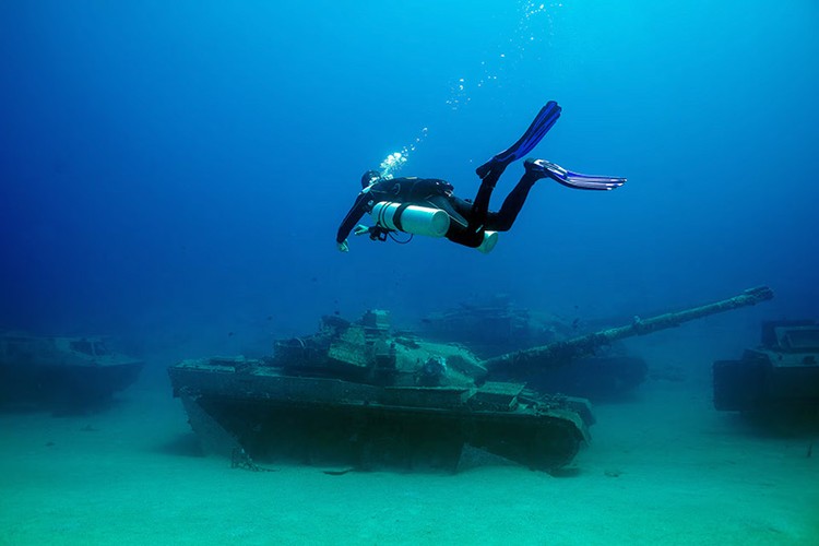 Ảnh độc đáo những chú cá bơi lội bên xe tăng tại bảo tàng quân sự dưới nước- Ảnh 6.