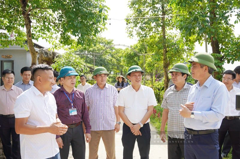 Quảng Bình: Bố Trạch tăng tốc hoàn thành mục tiêu xây dựng nông thôn mới- Ảnh 9.