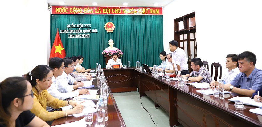 Đoàn Đại biểu Quốc hội tỉnh Đắk Nông làm việc với PC Đắk Nông- Ảnh 1.