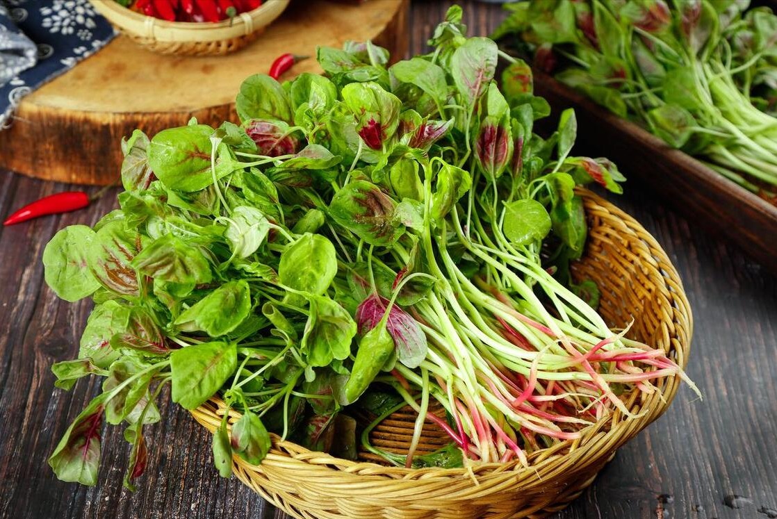 Loại rau có axit folic gấp 46 lần dưa chuột, ăn nhiều bổ máu, tốt xương, trộn chua cay ngon tuyệt- Ảnh 4.