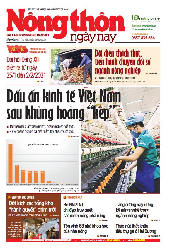 Từ loạt bài điều tra của Báo NTNN/Dân Việt: "Cây gậy vàng" bảo vệ chim hoang dã ở Việt Nam- Ảnh 1.