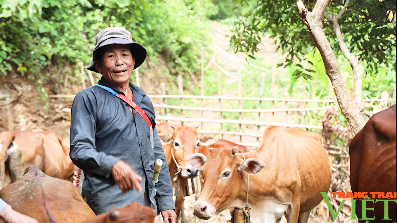 Phát triển chăn nuôi bền vững, từng bước nâng cao thu nhập cho nông dân vùng cao Bắc Yên - Ảnh 2.