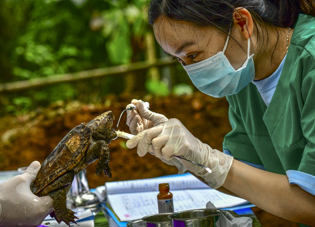 Tour đêm ngắm trực tiếp động vật hoang dã kiếm ăn tại Vườn quốc gia Cúc Phương- Ảnh 7.