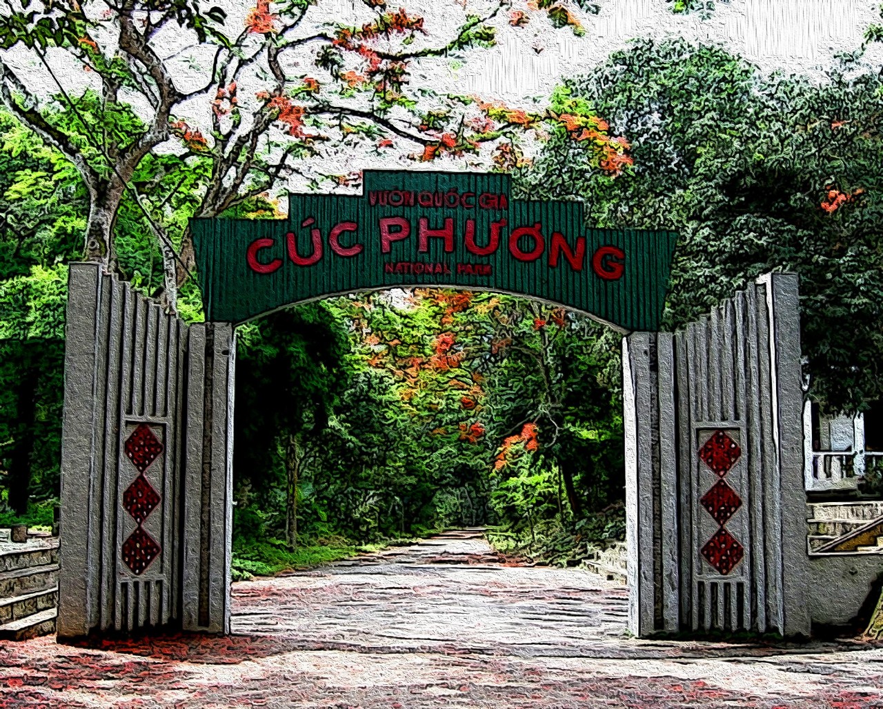 Tour đêm ngắm trực tiếp động vật hoang dã kiếm ăn tại Vườn quốc gia Cúc Phương- Ảnh 6.