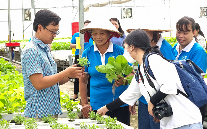 Sở NNPTNT đa dạng hình thức đào tạo nhân lực nông nghiệp nhằm hỗ trợ phát triển sản xuất nông nghiệp ở TP.HCM. Ảnh: Việt Dũng