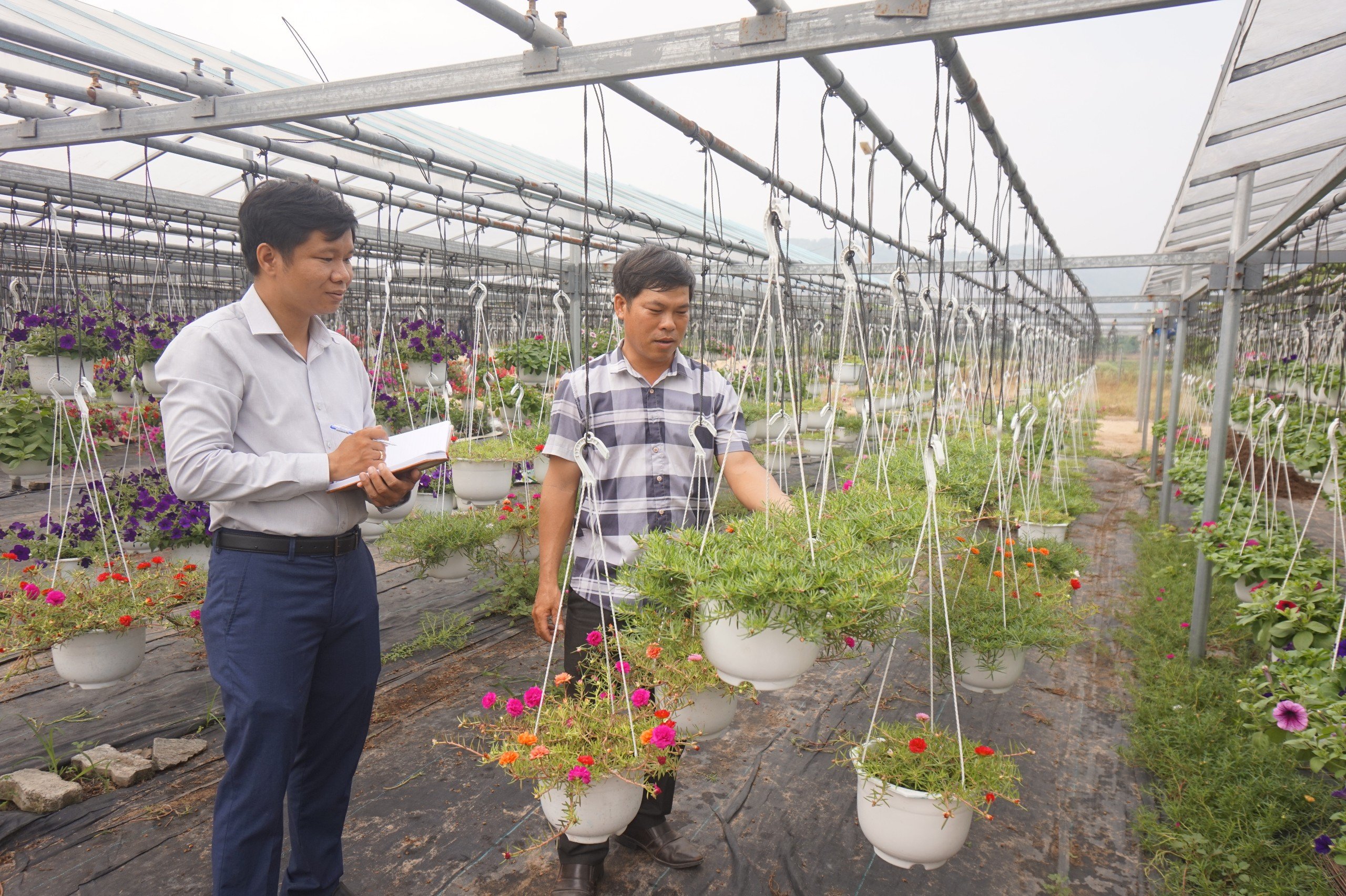 Đà Nẵng: Phát huy vai trò lãnh đạo của Đảng trong hoạt động tín dụng chính sách, Liên Chiểu hái "quả ngọt"- Ảnh 5.