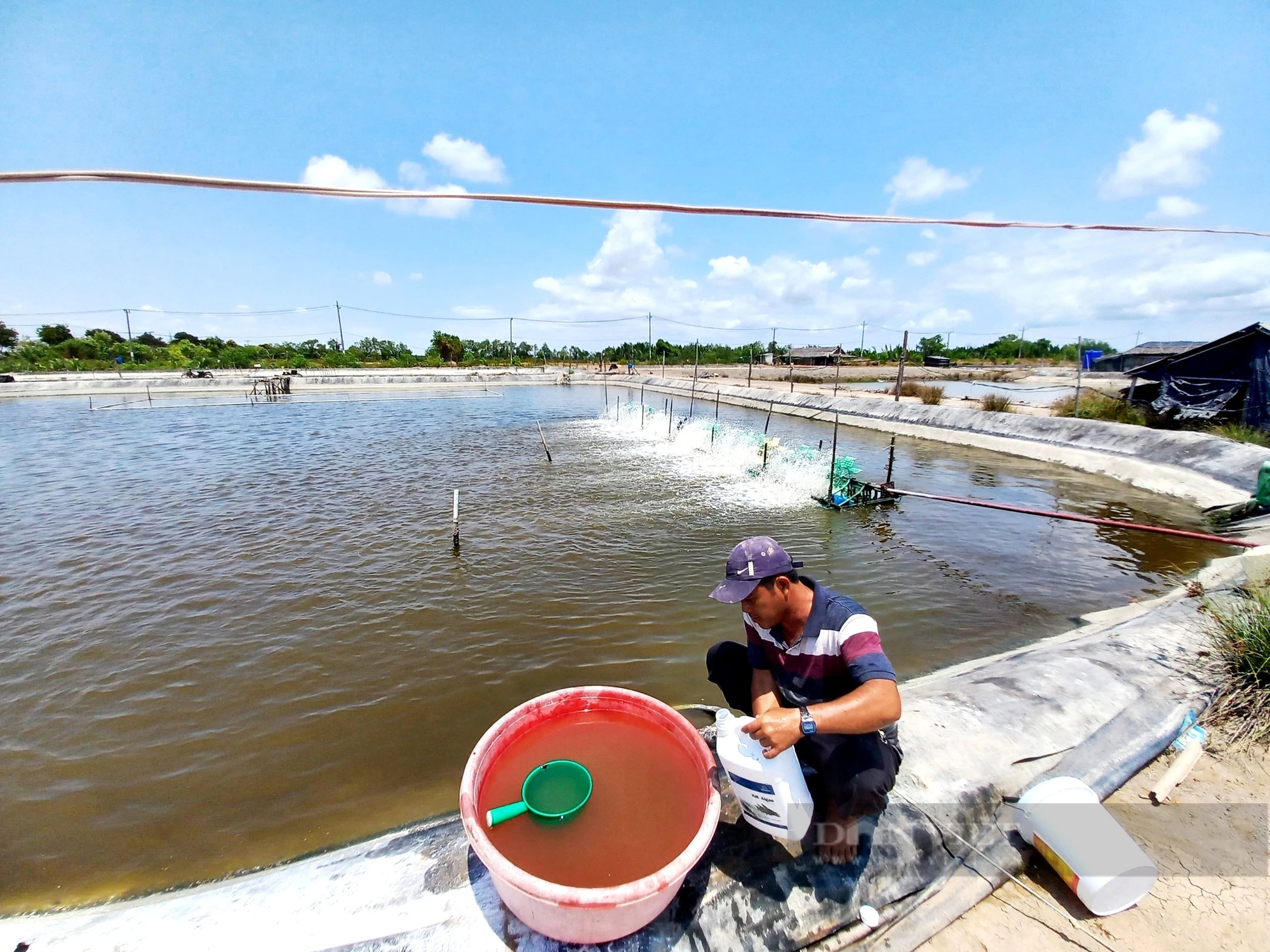 Anh nông dân vùng duyên hải Cần Giờ nuôi cá đặc sản thu 7 tỷ đồng mỗi vụ- Ảnh 1.