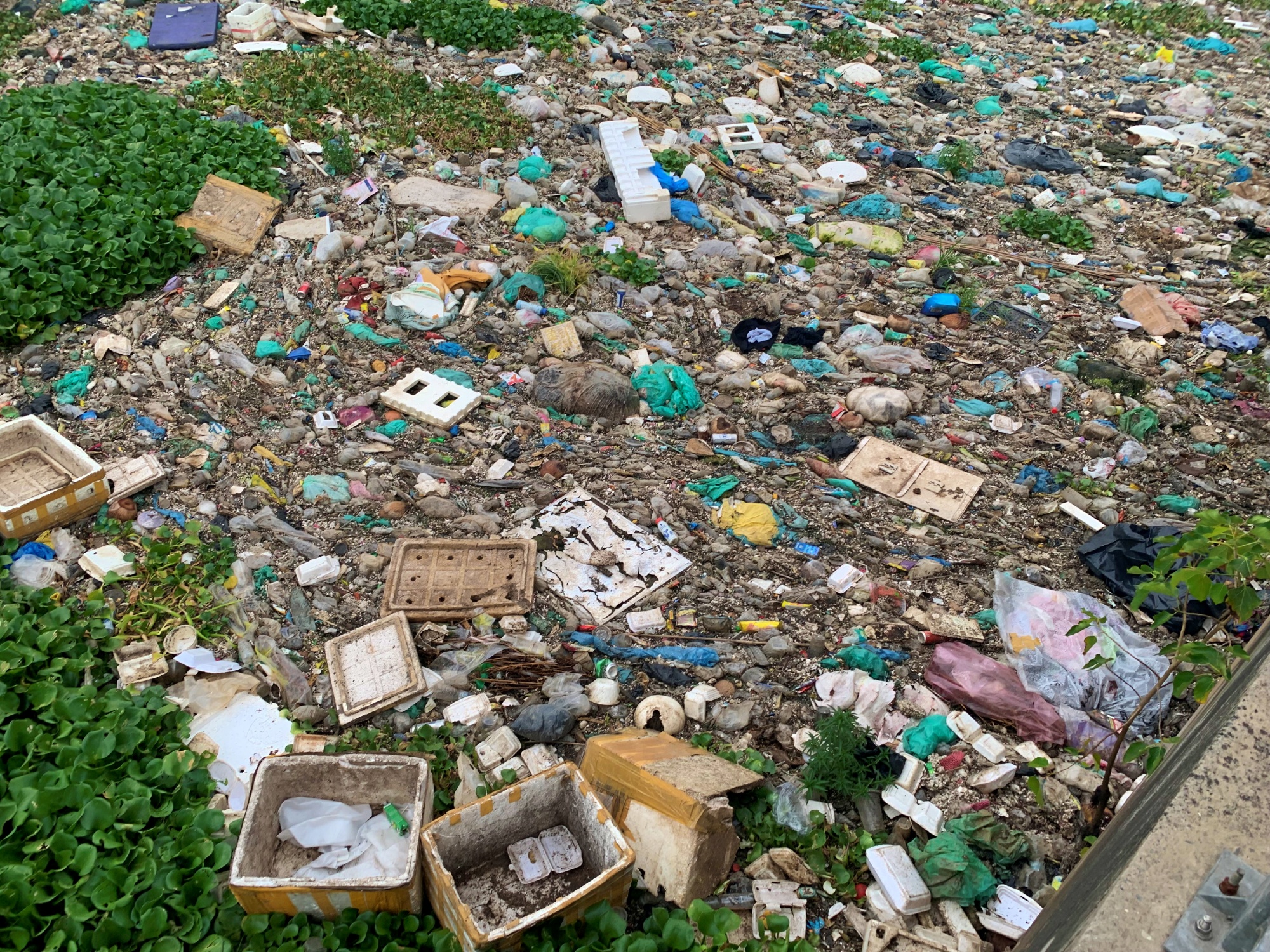 Hình ảnh gây sốc: Đủ loại rác phủ kín bề mặt nước con kênh từng được rót 600 tỷ giải cứu ở TP.HCM- Ảnh 8.