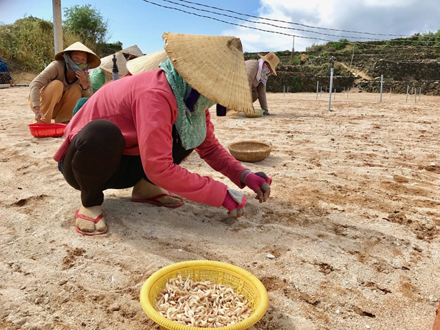 Trung tâm dịch vụ Nông nghiệp Lý Sơn lên tiếng vụ máy xới đất cấp hỗ trợ nằm trong thùng- Ảnh 4.