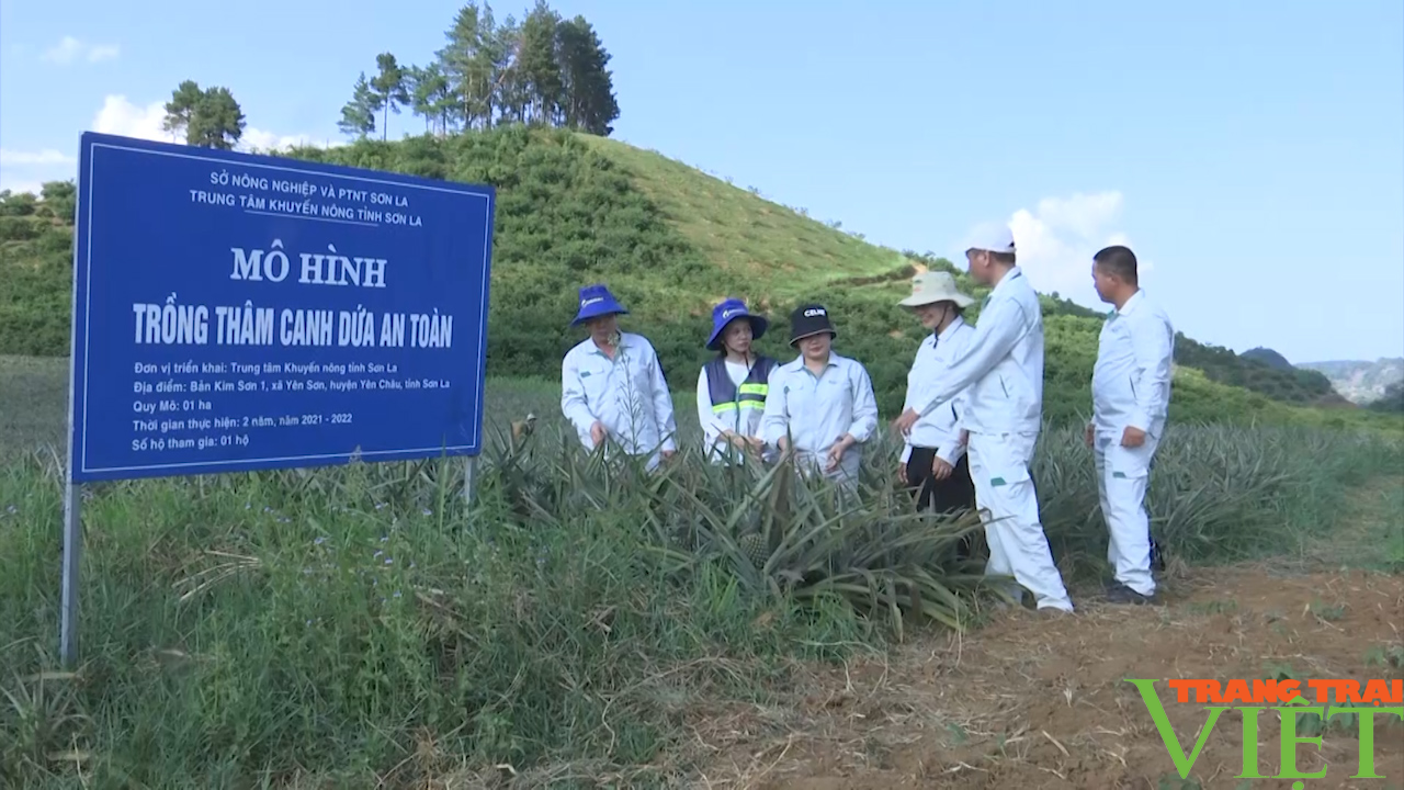 Phát huy vai trò khuyến nông trên địa bàn tỉnh Sơn La- Ảnh 2.