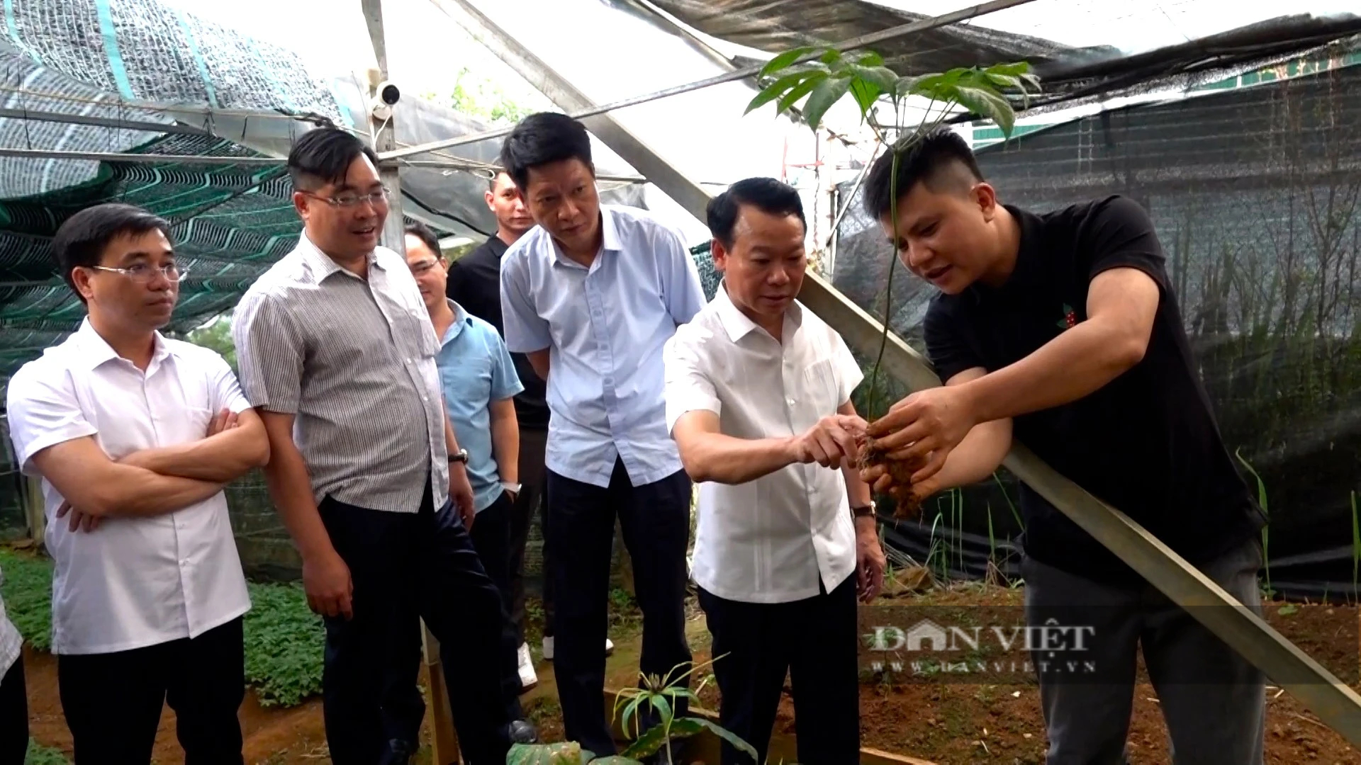 Trồng thành công loài cây ví như "Quốc bảo của Việt Nam" trên vùng Mù Cang Chải của Yên Bái- Ảnh 7.