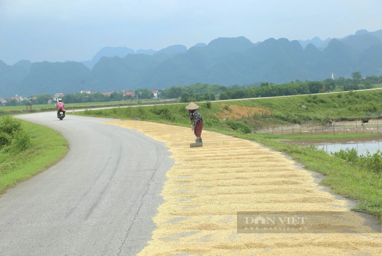 Nơi này ở Ninh Bình, vì sao nông dân trồng lúa đang áp dụng kiểu "xanh nhà hơn già đồng"?- Ảnh 6.