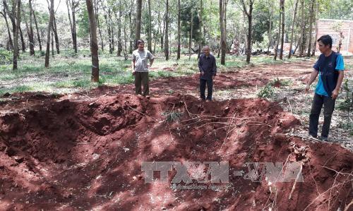 Năm 2017, đang đào đất đắp nền nhà một người Bình Phước đụng phải cổ vật tiền sử, nghi lưỡi tầm sét- Ảnh 1.