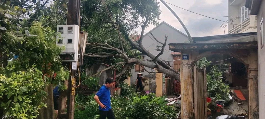 Quảng Ninh: Lốc xoáy thổi bay hơn 70 mái nhà sau 3 phút- Ảnh 2.