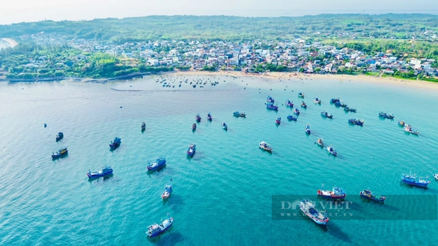 Trong tiết trời đương hạ, la liệt cá, tôm đủ loại tươi roi rói nơi vùng biển đẹp như tranh vẽ ở Quảng Ngãi- Ảnh 4.