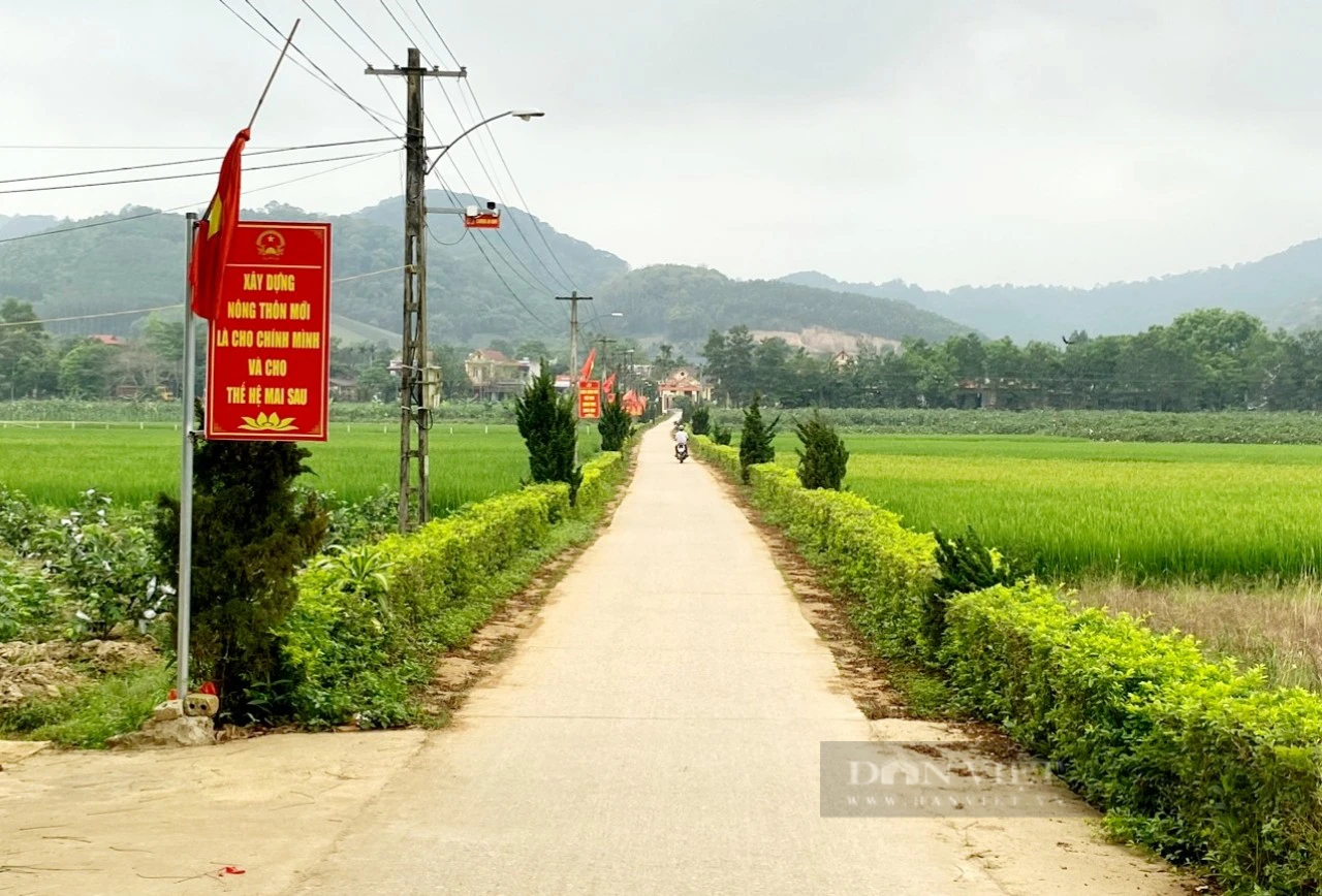 Một huyện miền núi phía Tây Bắc của Thanh Hóa đặt mục tiêu đạt chuẩn nông thôn mới năm 2025- Ảnh 7.