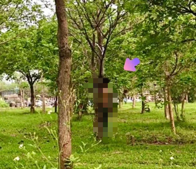 Điều tra vụ người đàn ông tử vong tại vườn hoa gần cầu Nhật Tân, Hà Nội- Ảnh 1.
