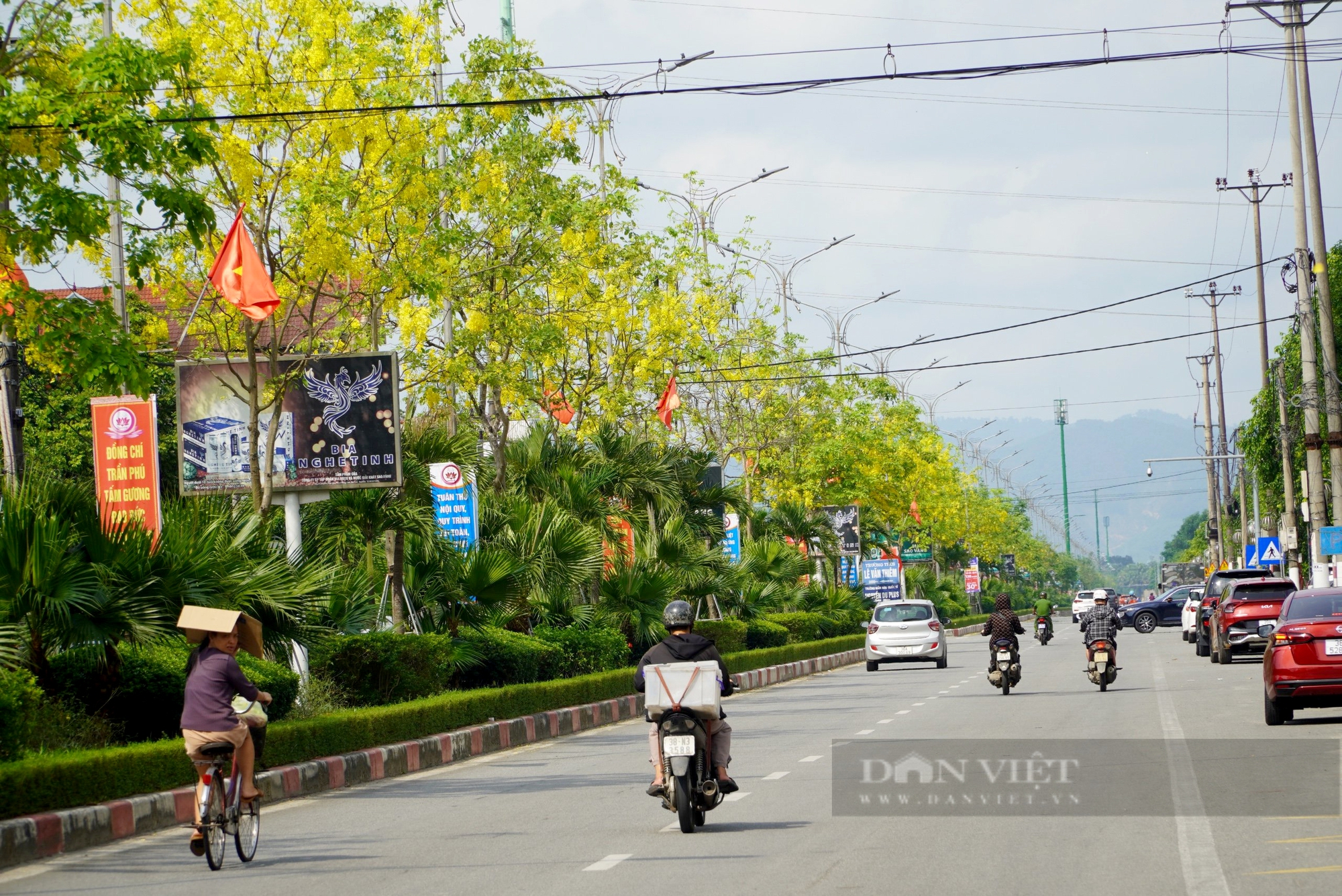 Đường hoa mùa hè đẹp mê ly ở một thành phố của tỉnh Hà Tĩnh- Ảnh 6.