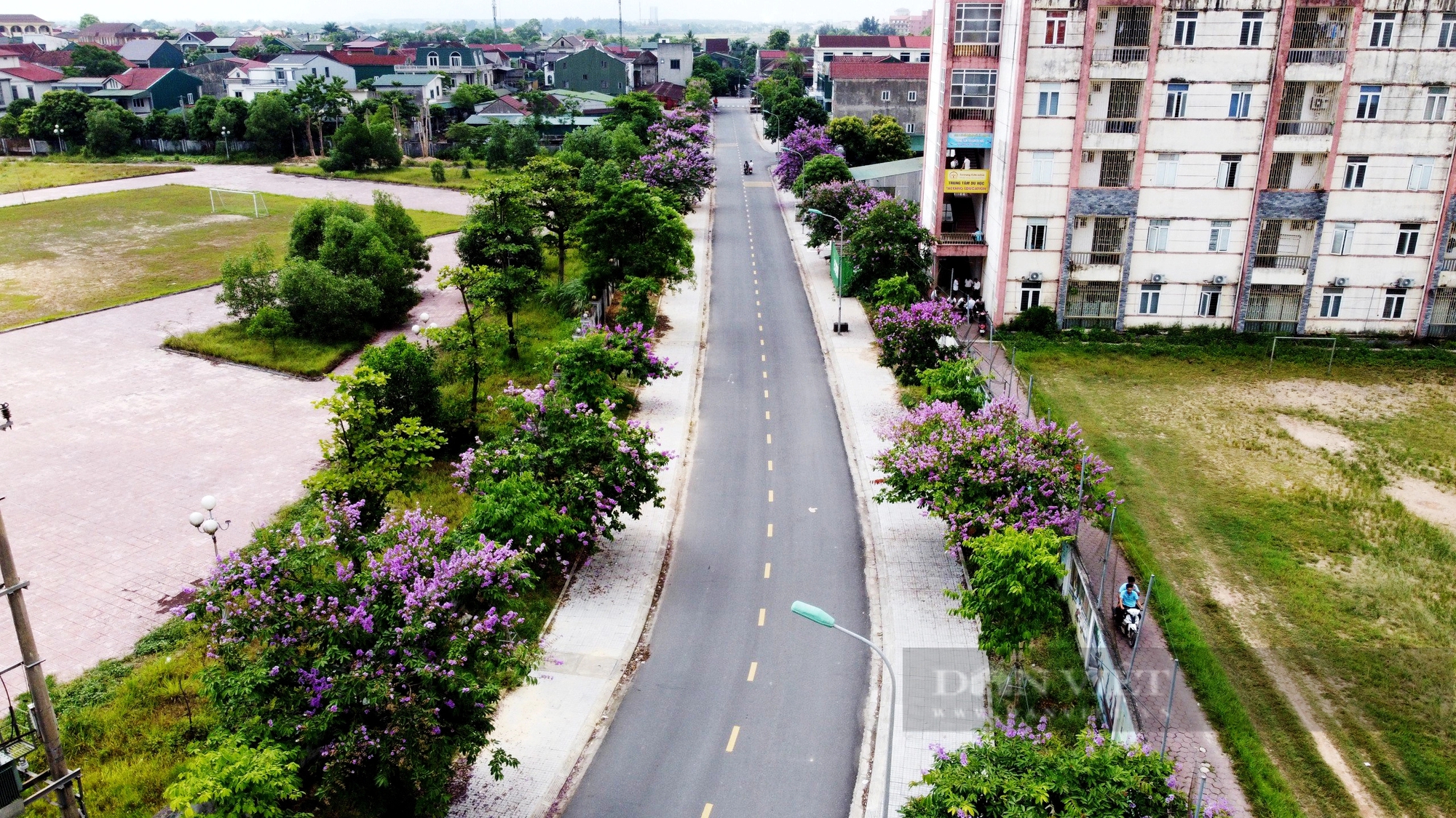 Đường hoa mùa hè đẹp mê ly ở một thành phố của tỉnh Hà Tĩnh- Ảnh 11.