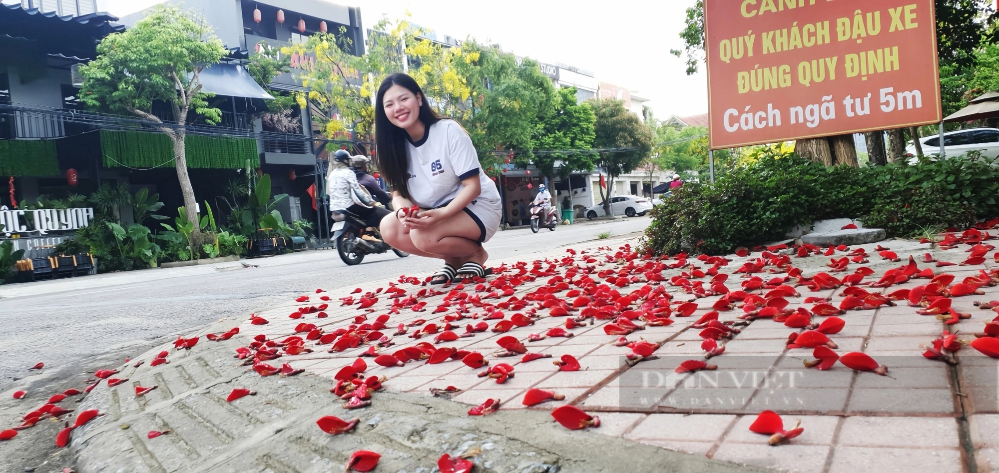 Đường hoa mùa hè đẹp mê ly ở một thành phố của tỉnh Hà Tĩnh- Ảnh 19.
