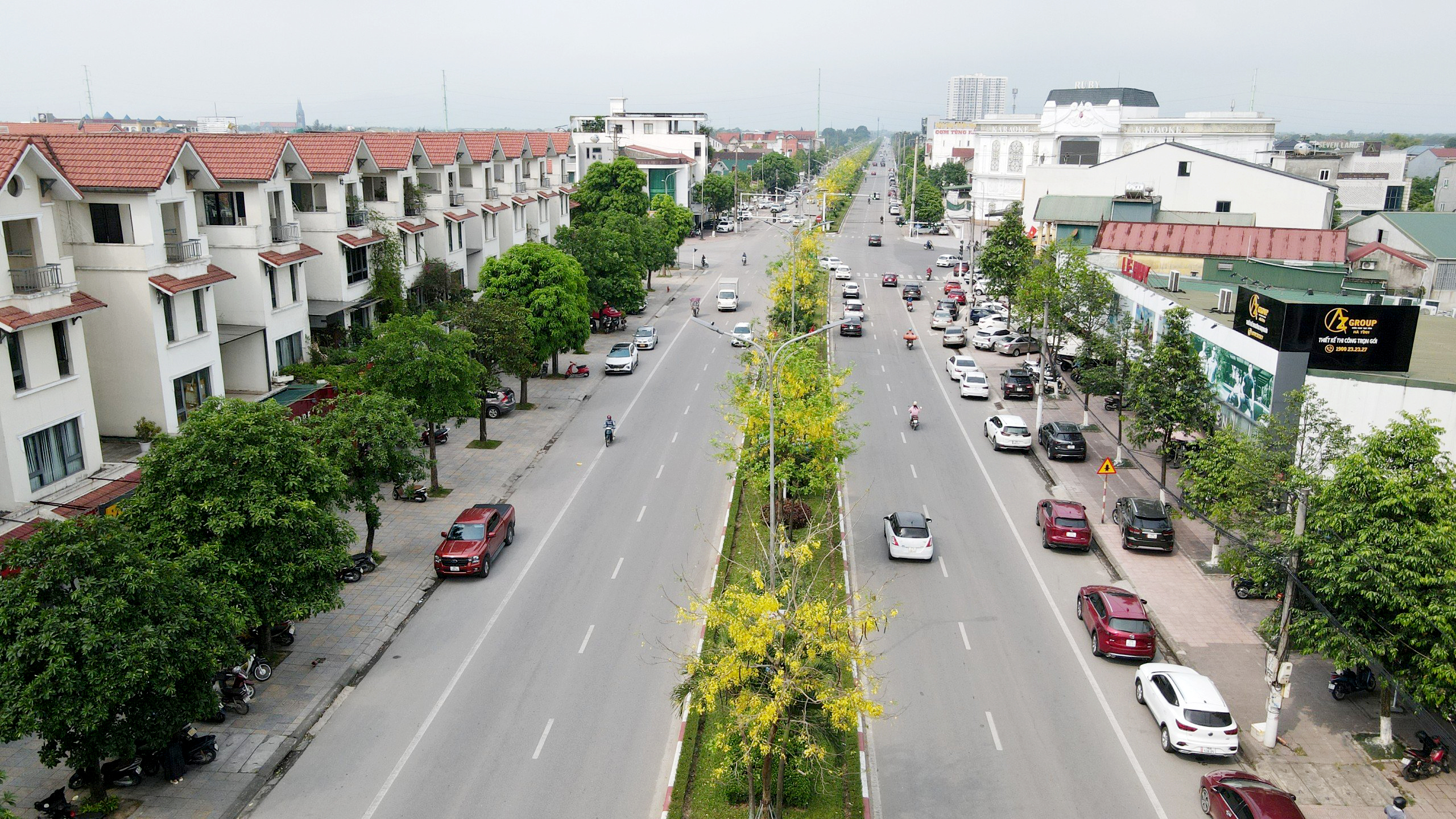 Đường hoa mùa hè đẹp mê ly ở một thành phố của tỉnh Hà Tĩnh- Ảnh 1.