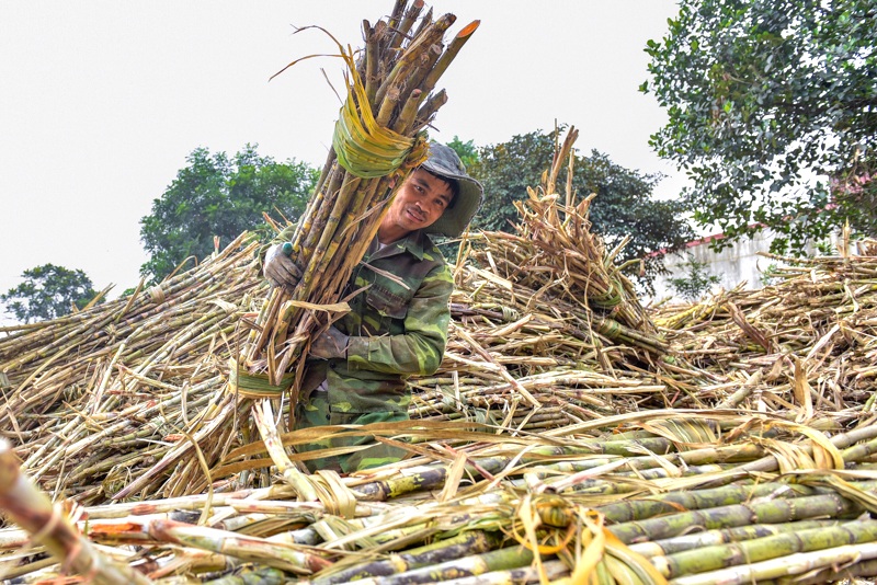 Một huyện miền núi phía Tây Bắc của Thanh Hóa đặt mục tiêu đạt chuẩn nông thôn mới năm 2025- Ảnh 6.