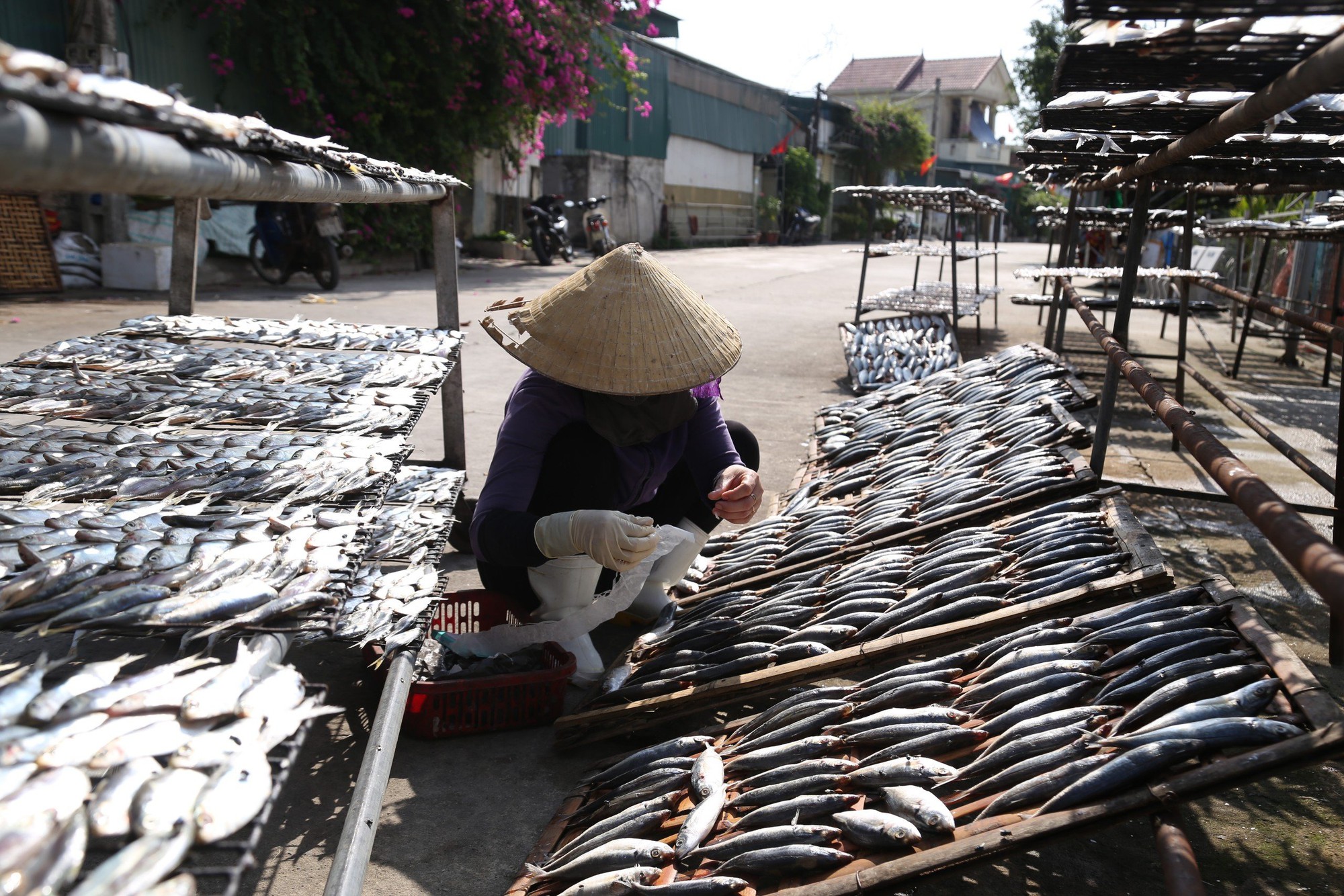 Nắng hơn 40 độ C, hàng chục phụ nữ vẫn ngồi trước lò than hồng nóng 100 độ C nướng từng vỉ cá thơm phức- Ảnh 1.