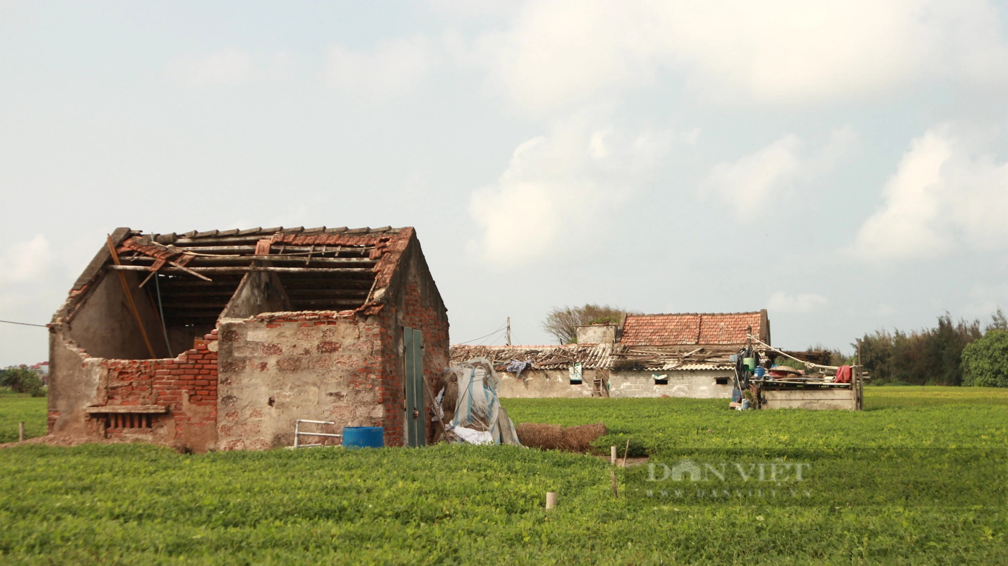 Chuyện về ngôi làng từng bị bão xóa sổ sau gần 20 năm ở Nam Định- Ảnh 2.