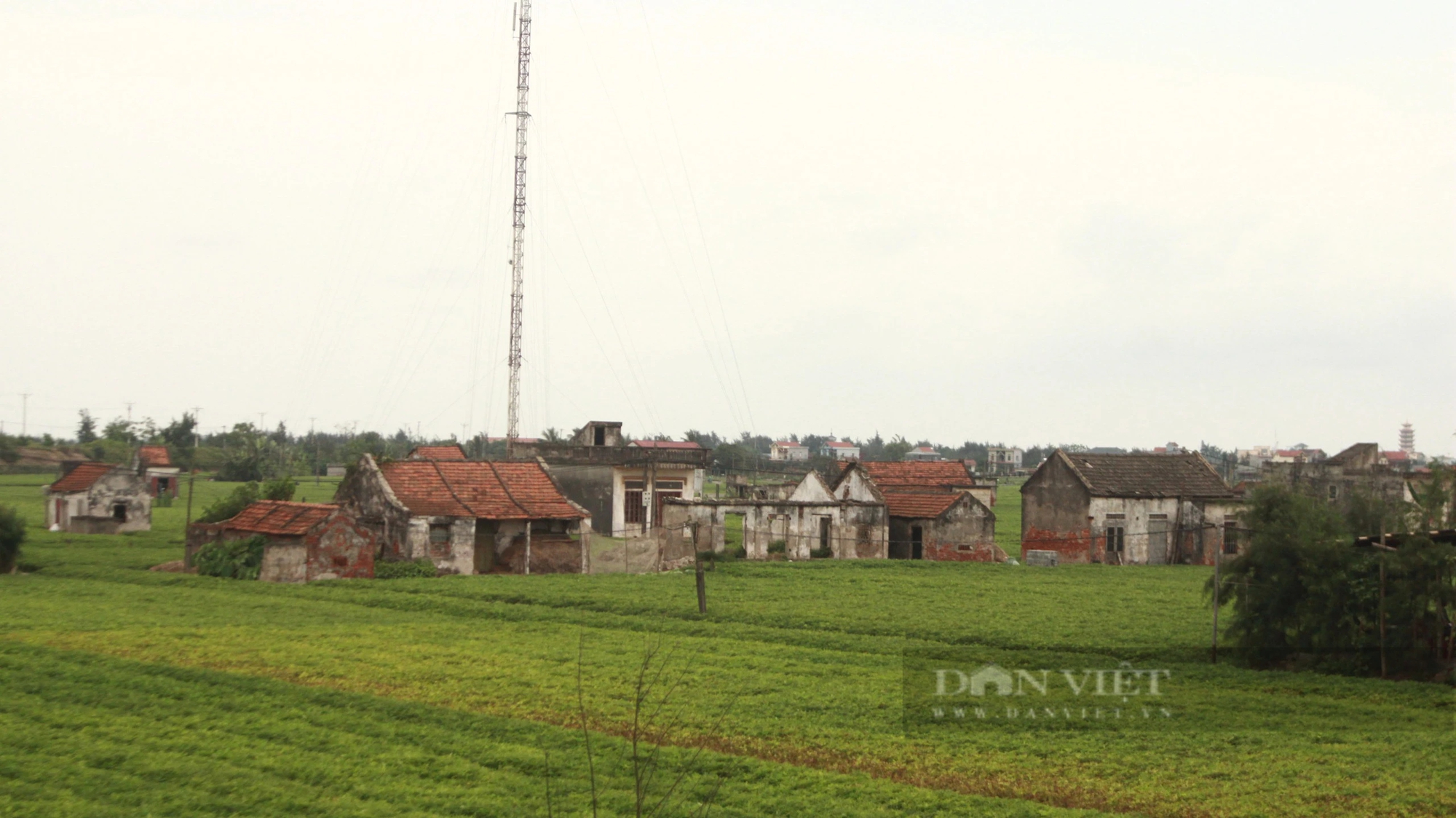 Chuyện về ngôi làng từng bị bão xóa sổ sau gần 20 năm ở Nam Định- Ảnh 1.