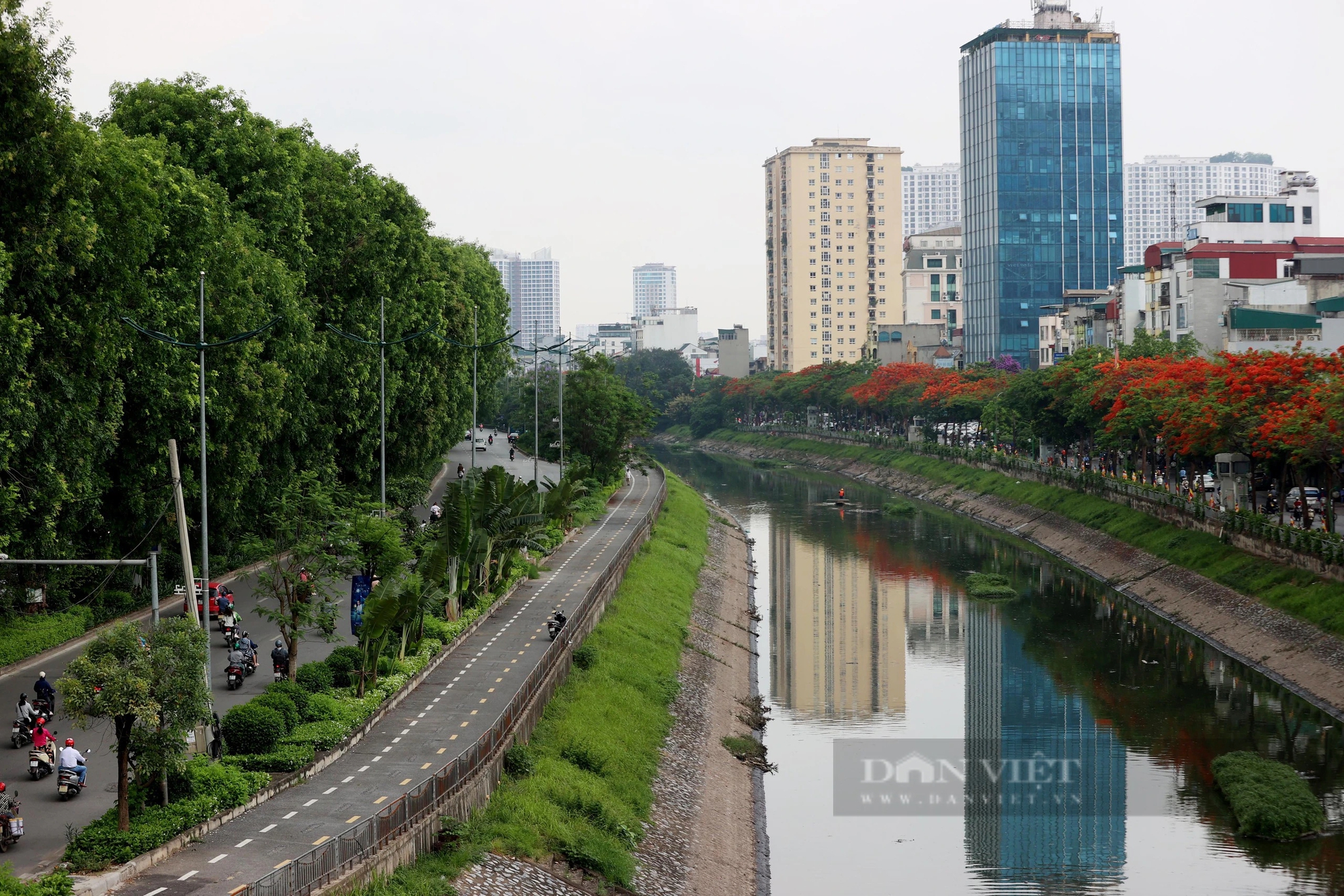 Hình ảnh thảm cỏ xanh mướt, hút mắt trên con đường chỉ dành riêng cho người đi bộ, xe đạp ở Hà Nội- Ảnh 1.