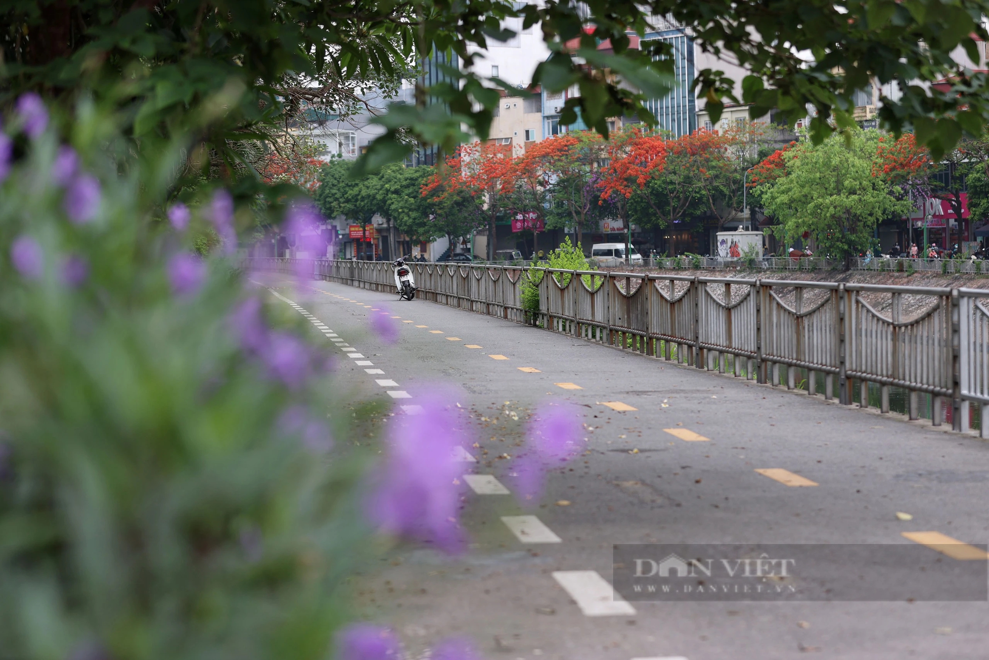 Hình ảnh thảm cỏ xanh mướt, hút mắt trên con đường chỉ dành riêng cho người đi bộ, xe đạp ở Hà Nội- Ảnh 29.