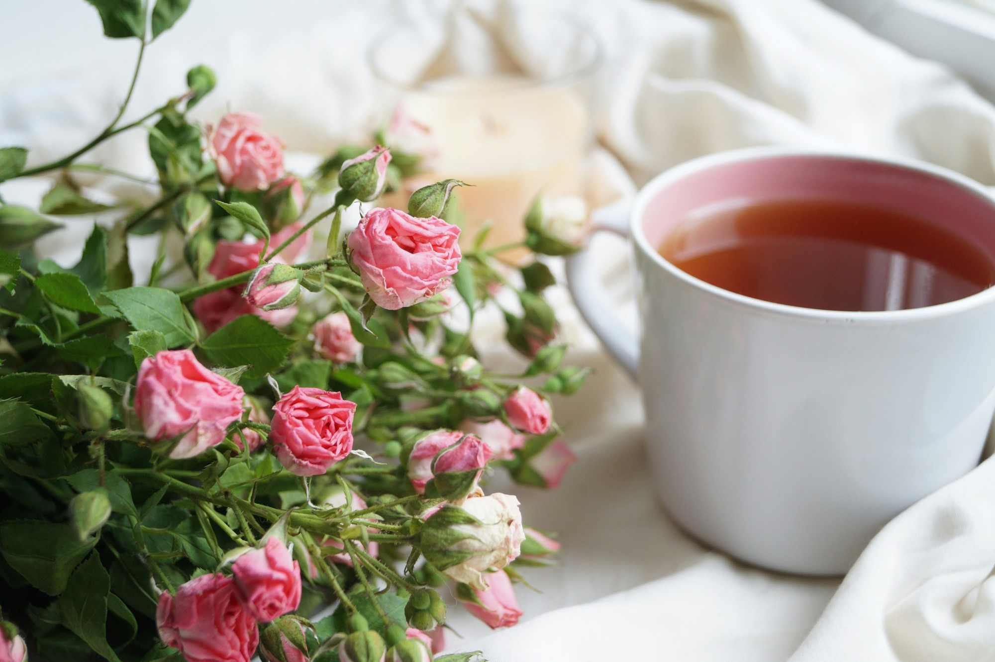 5 lợi ích trẻ hóa của trà hoa hồng- Ảnh 1.