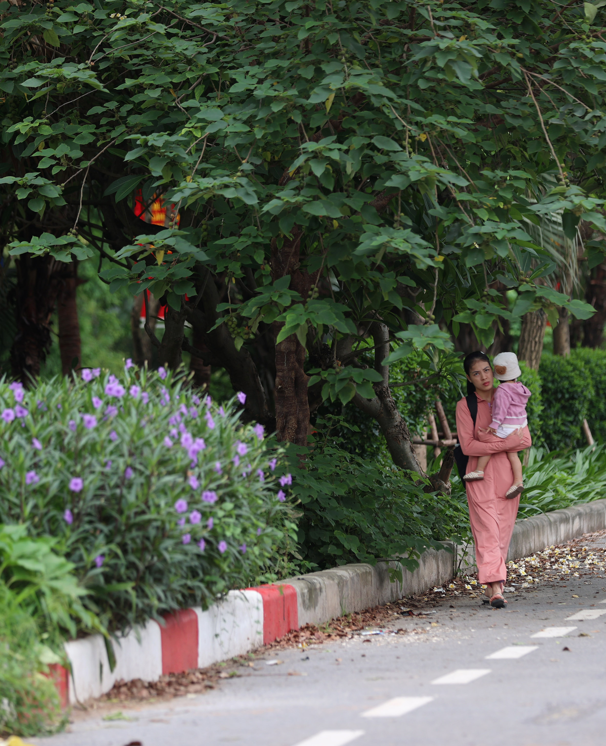 Hình ảnh thảm cỏ xanh mướt, hút mắt trên con đường chỉ dành riêng cho người đi bộ, xe đạp ở Hà Nội- Ảnh 19.