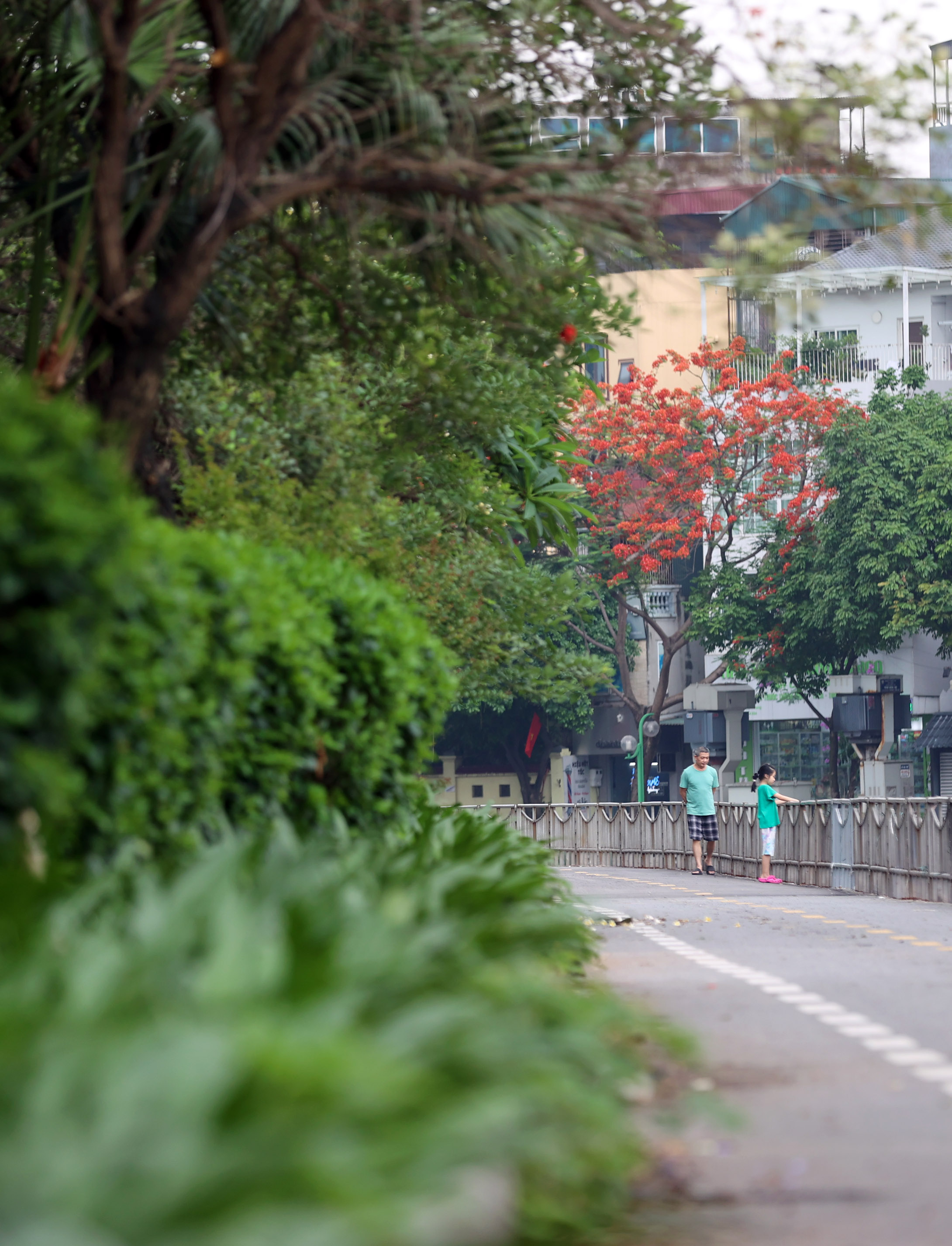 Hình ảnh thảm cỏ xanh mướt, hút mắt trên con đường chỉ dành riêng cho người đi bộ, xe đạp ở Hà Nội- Ảnh 20.