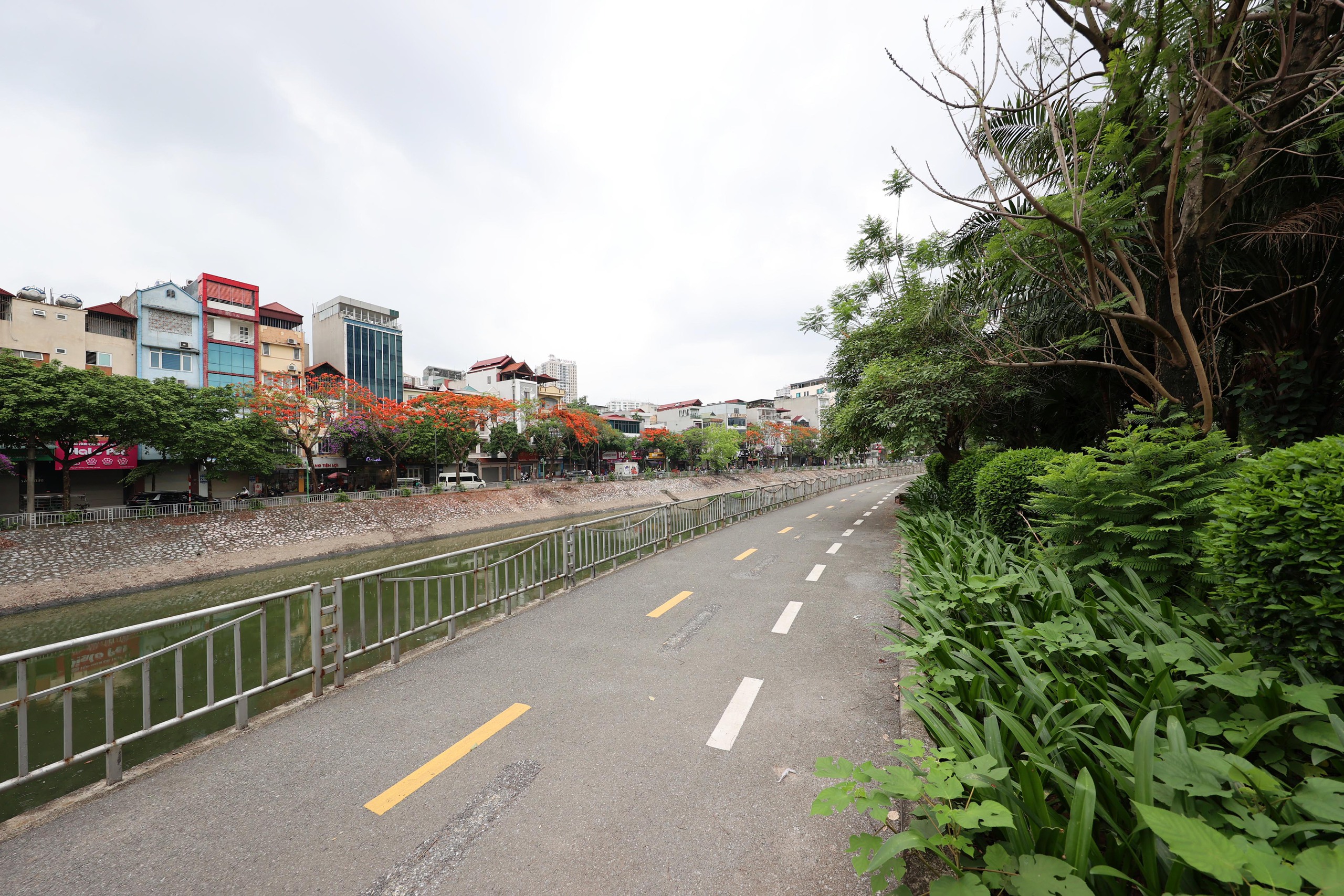 Hình ảnh thảm cỏ xanh mướt, hút mắt trên con đường chỉ dành riêng cho người đi bộ, xe đạp ở Hà Nội- Ảnh 3.