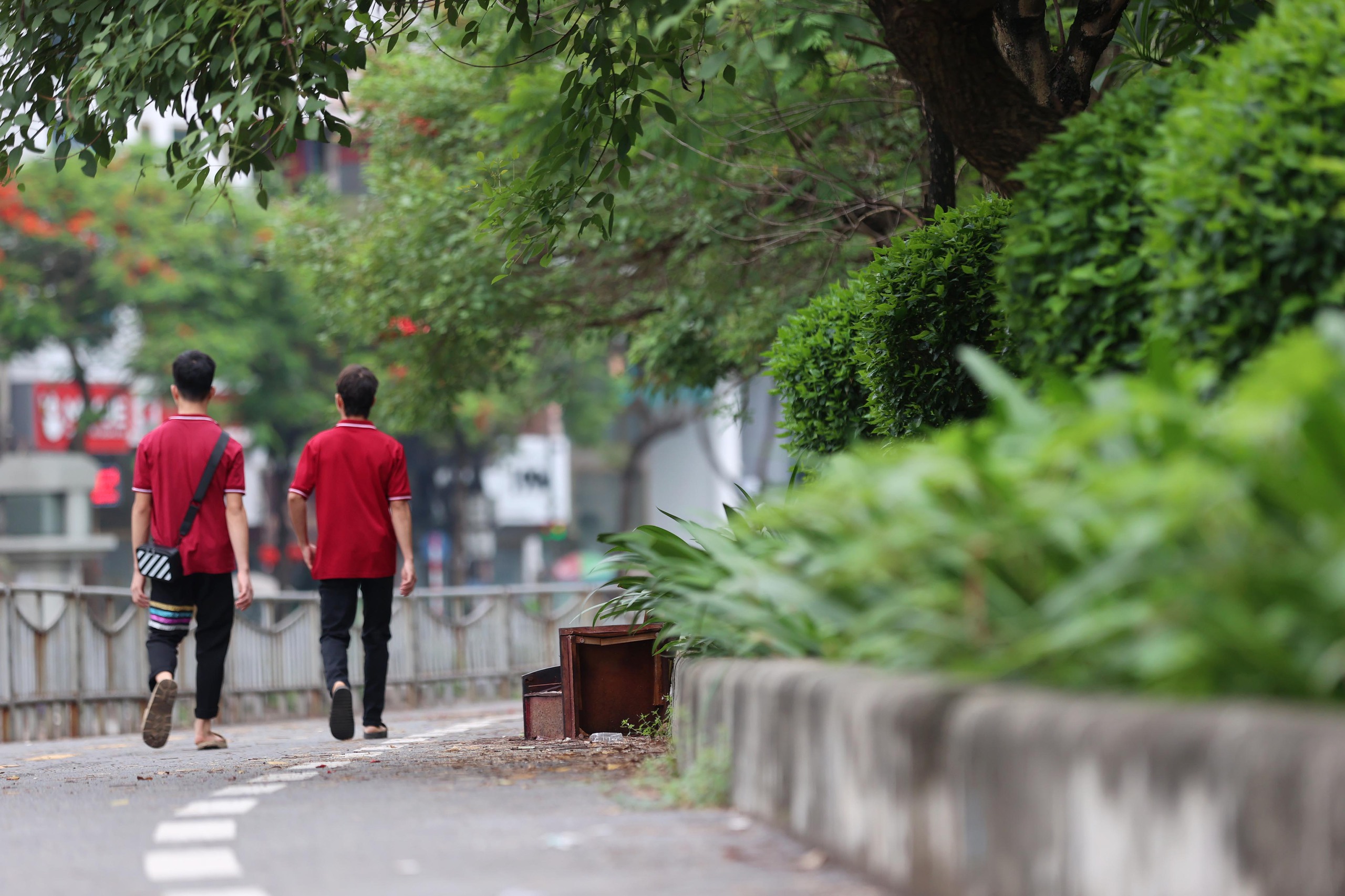Hình ảnh thảm cỏ xanh mướt, hút mắt trên con đường chỉ dành riêng cho người đi bộ, xe đạp ở Hà Nội- Ảnh 12.