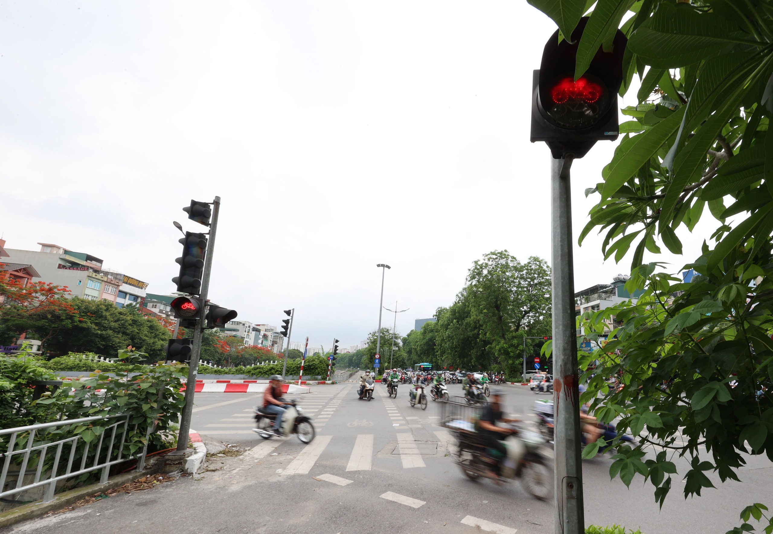 Hình ảnh thảm cỏ xanh mướt, hút mắt trên con đường chỉ dành riêng cho người đi bộ, xe đạp ở Hà Nội- Ảnh 13.