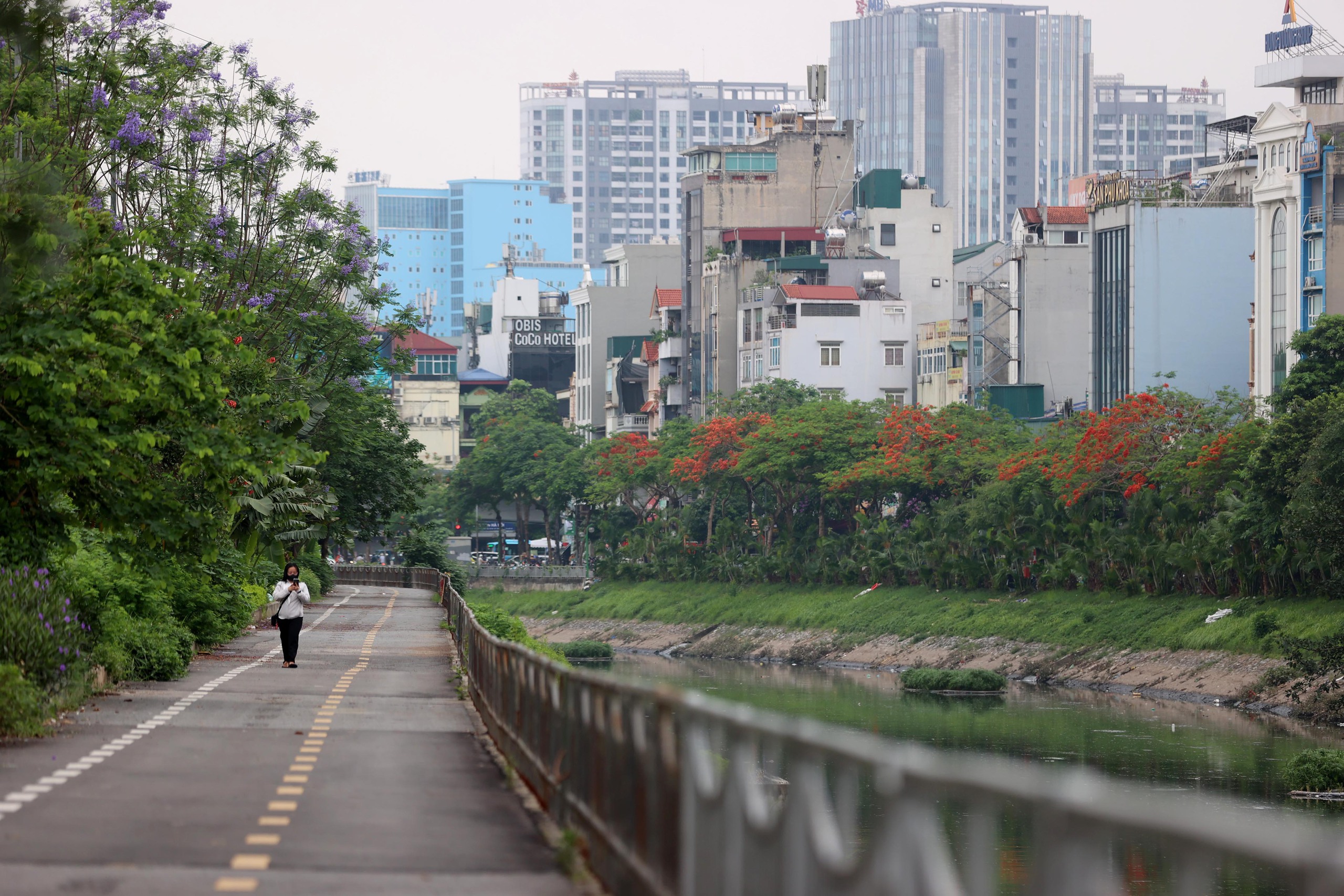 Hình ảnh thảm cỏ xanh mướt, hút mắt trên con đường chỉ dành riêng cho người đi bộ, xe đạp ở Hà Nội- Ảnh 16.