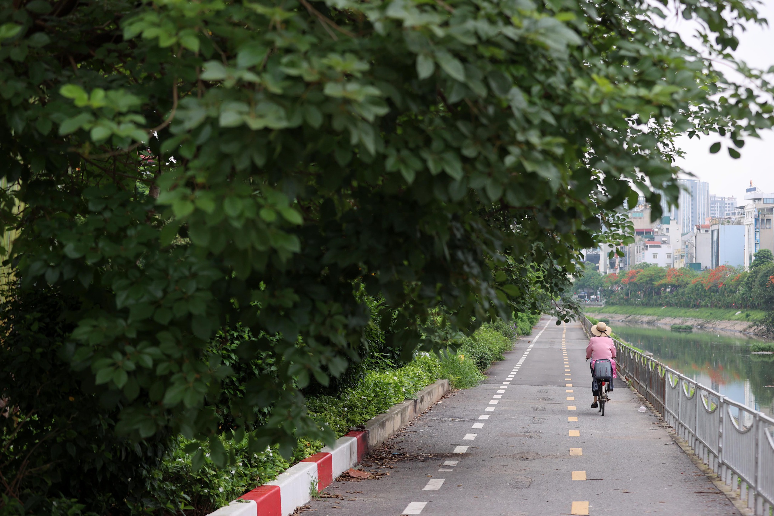 Hình ảnh thảm cỏ xanh mướt, hút mắt trên con đường chỉ dành riêng cho người đi bộ, xe đạp ở Hà Nội- Ảnh 17.