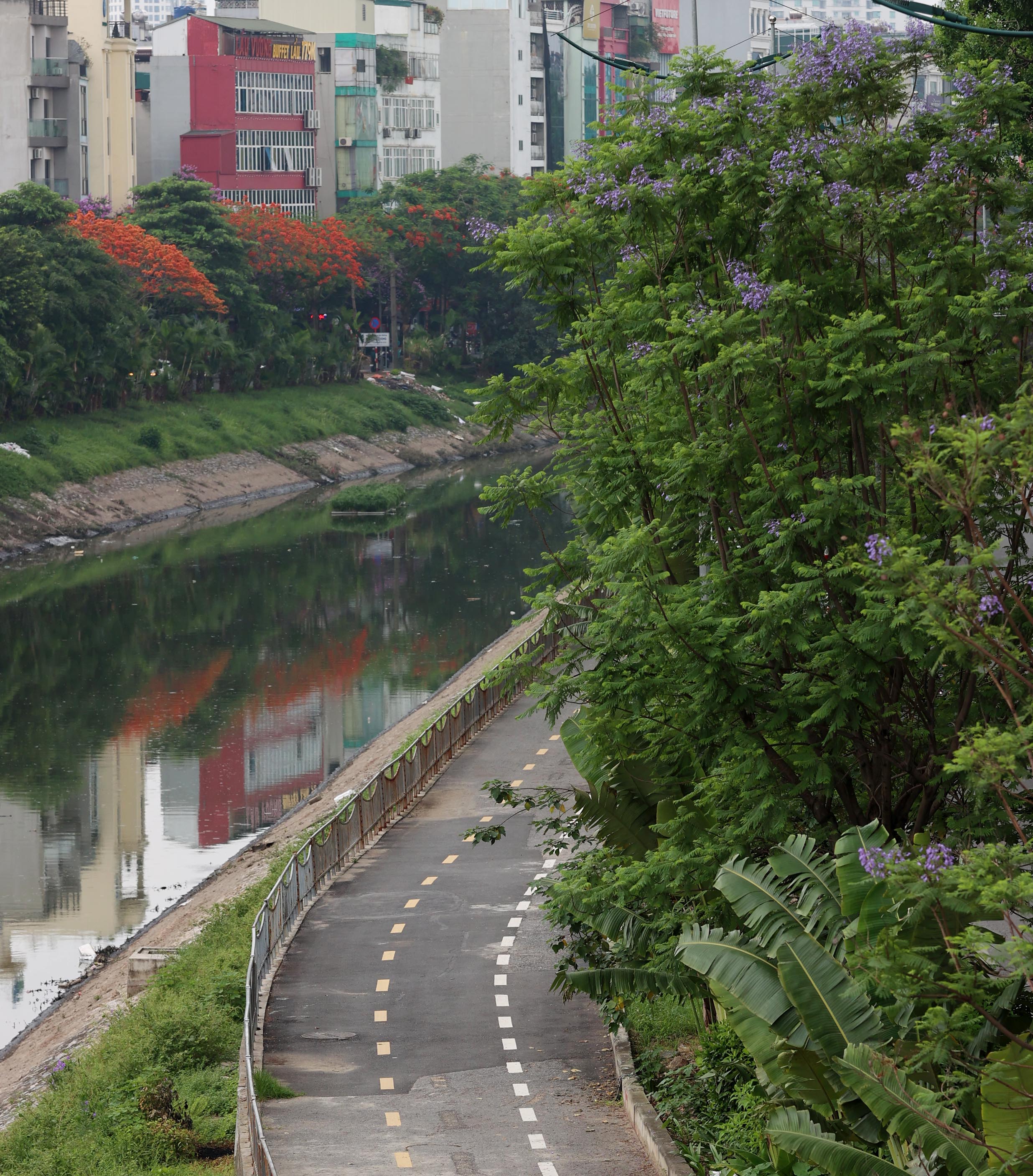 Hình ảnh thảm cỏ xanh mướt, hút mắt trên con đường chỉ dành riêng cho người đi bộ, xe đạp ở Hà Nội- Ảnh 2.