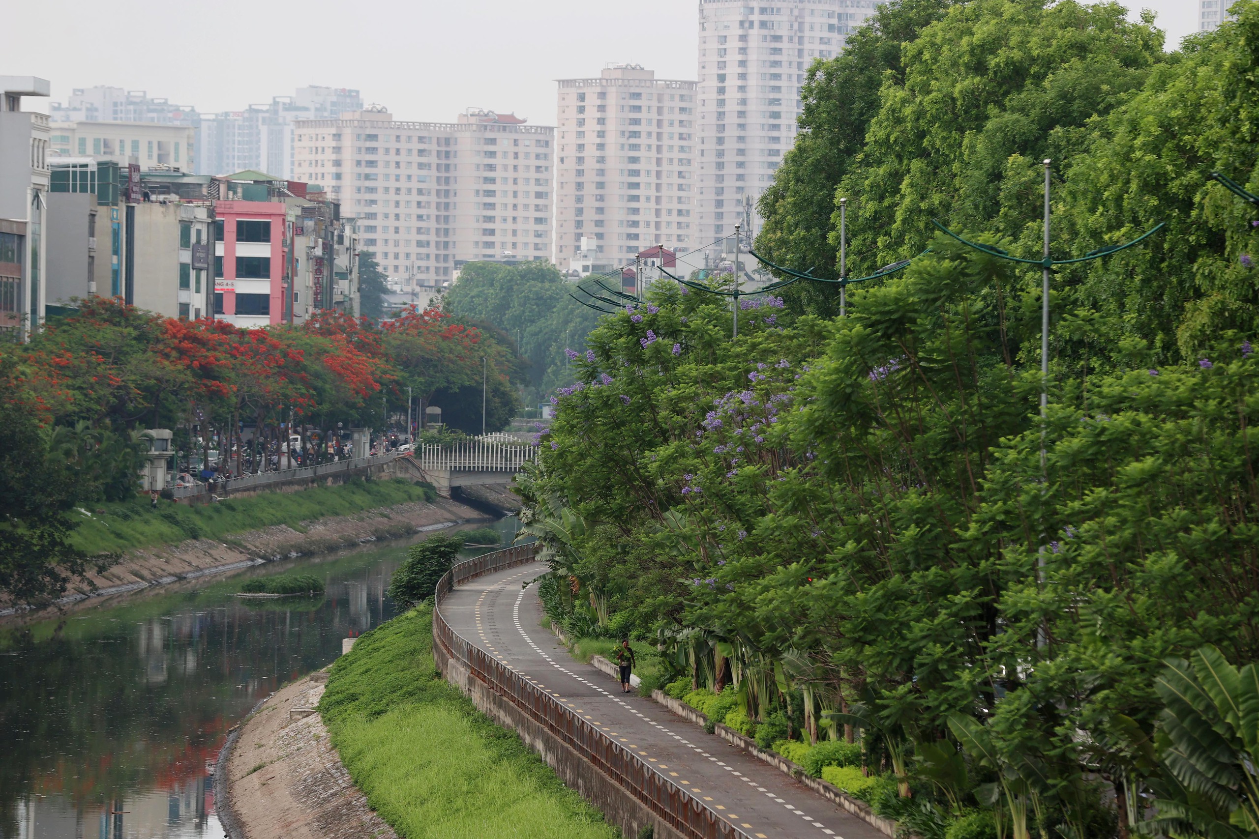 Hình ảnh thảm cỏ xanh mướt, hút mắt trên con đường chỉ dành riêng cho người đi bộ, xe đạp ở Hà Nội- Ảnh 4.