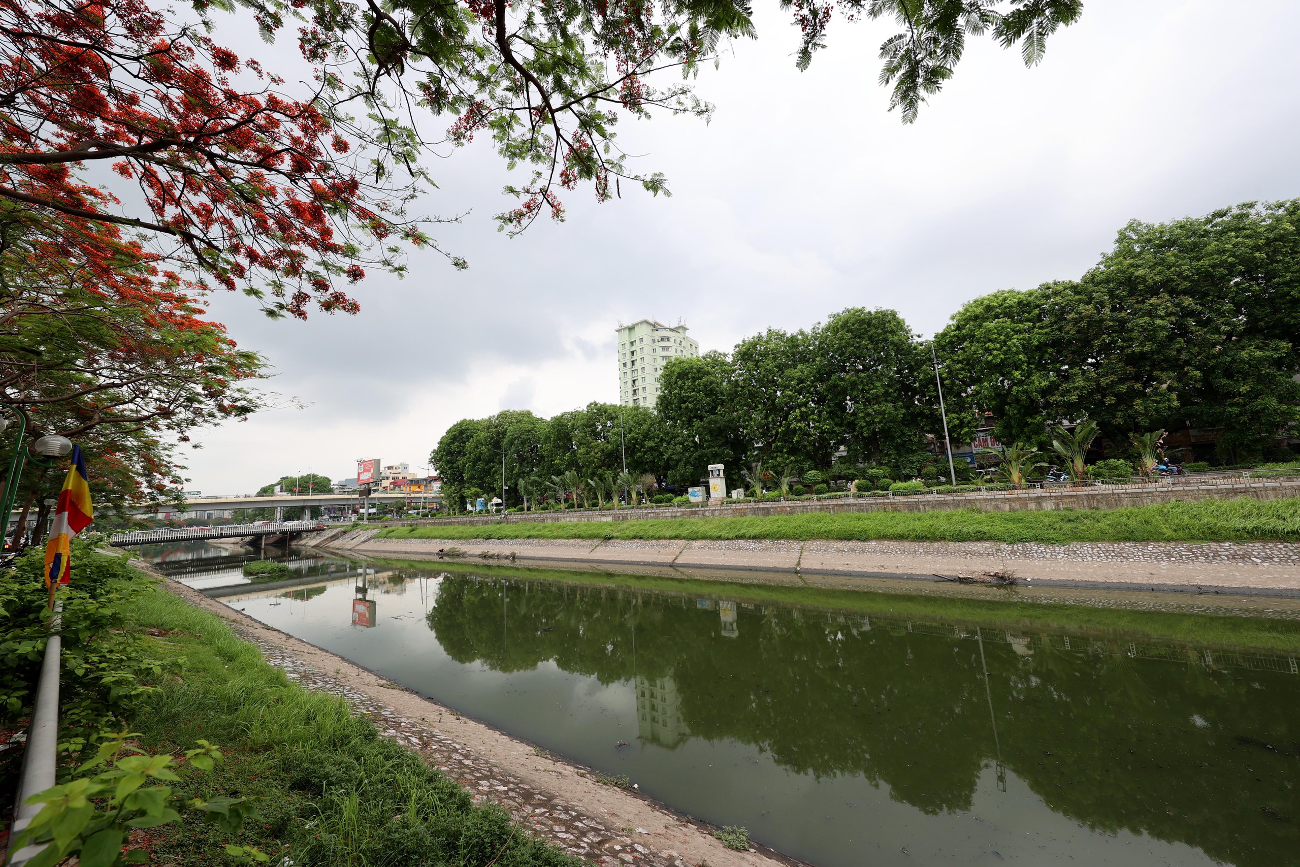 Hình ảnh thảm cỏ xanh mướt, hút mắt trên con đường chỉ dành riêng cho người đi bộ, xe đạp ở Hà Nội- Ảnh 26.