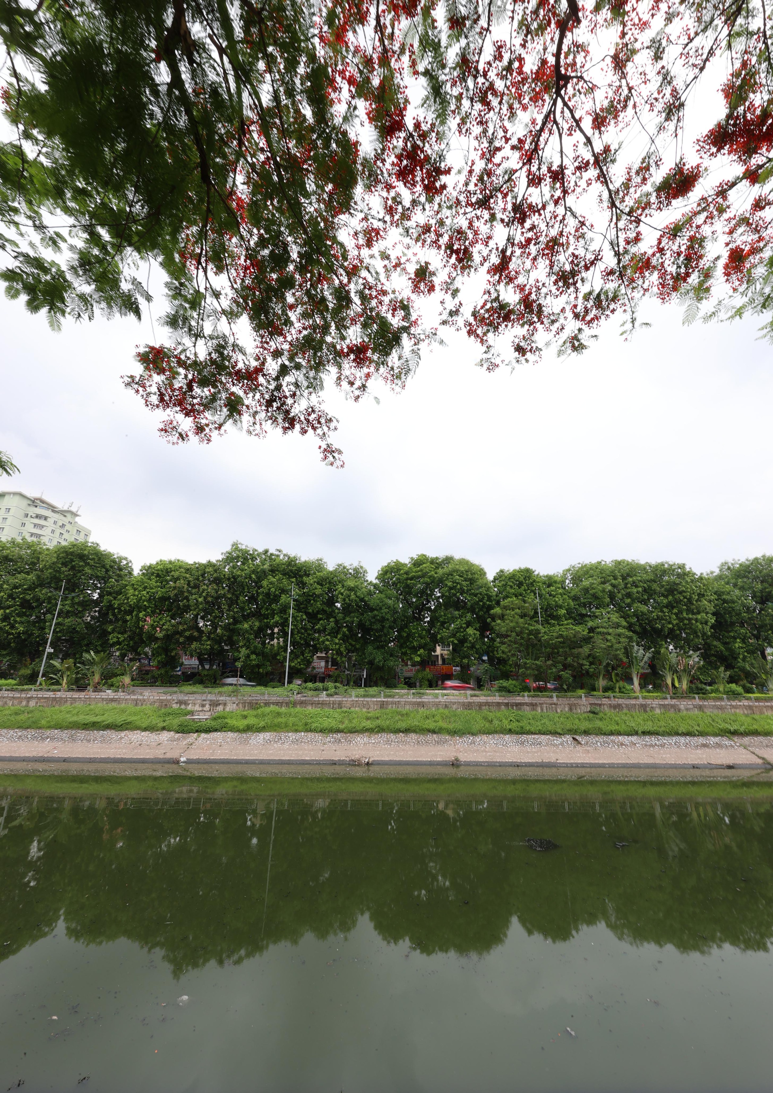 Hình ảnh thảm cỏ xanh mướt, hút mắt trên con đường chỉ dành riêng cho người đi bộ, xe đạp ở Hà Nội- Ảnh 27.