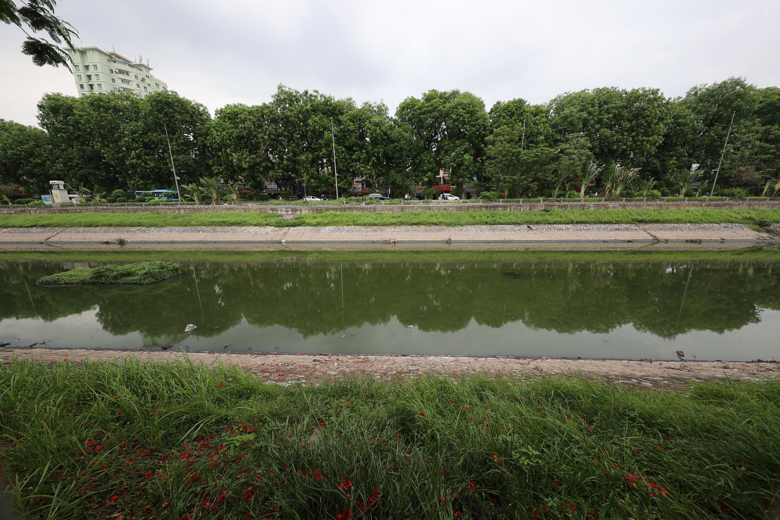 Hình ảnh thảm cỏ xanh mướt, hút mắt trên con đường chỉ dành riêng cho người đi bộ, xe đạp ở Hà Nội- Ảnh 28.