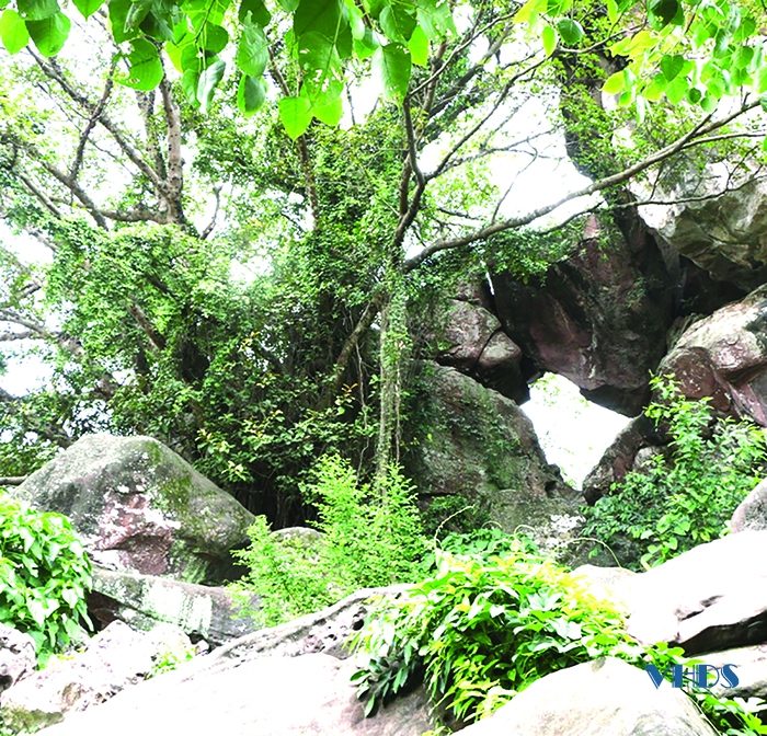 Vùng đất Bất Quần ở Thanh Hóa bằng phẳng mà nổi lên ngọn núi cao, đẹp lạ, bên sông nhà Lê có một cái phủ- Ảnh 3.