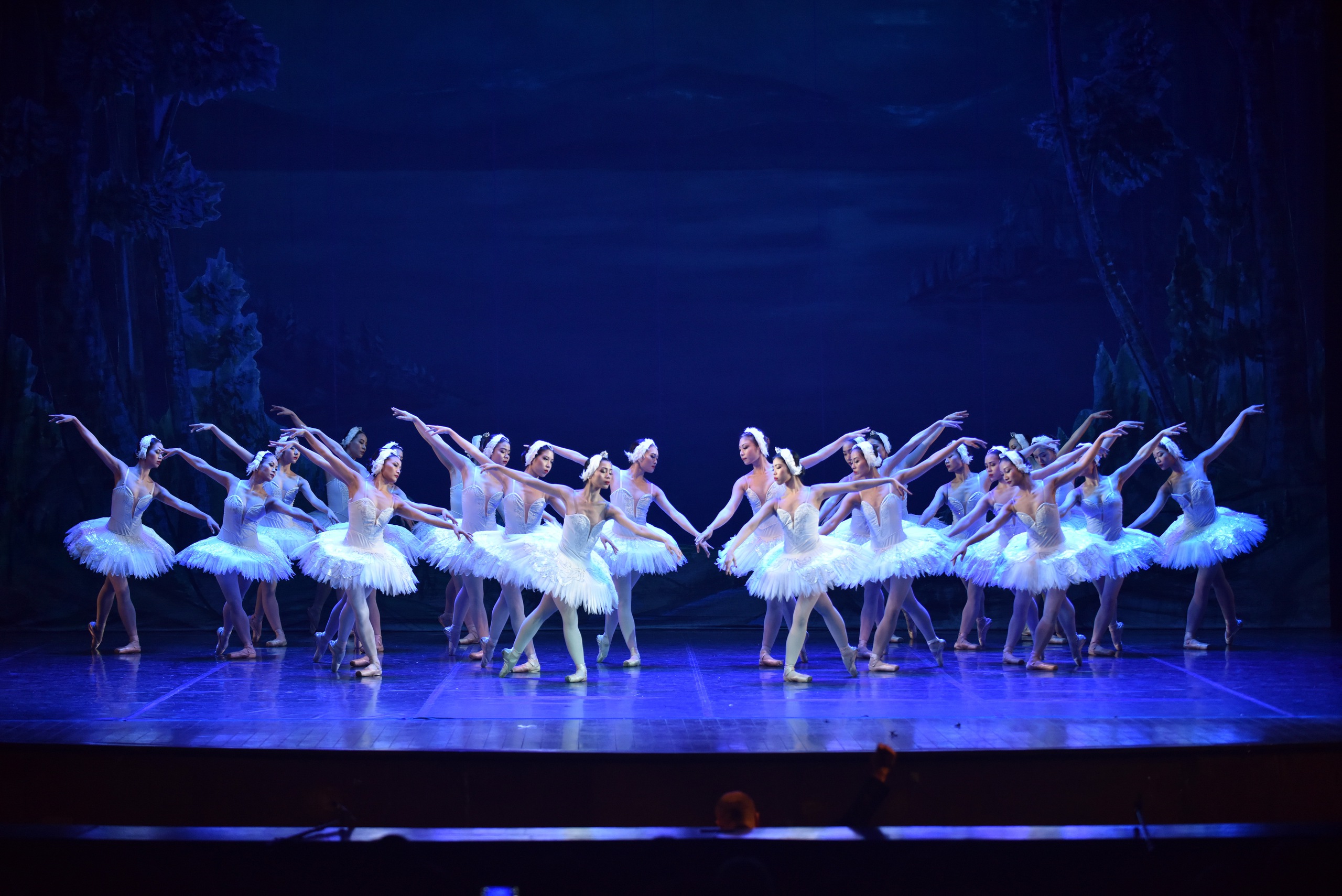 Vở ballet Hồ Thiên Nga “made in Vietnam” tái công diễn tại Hà Nội vào tháng 6- Ảnh 2.
