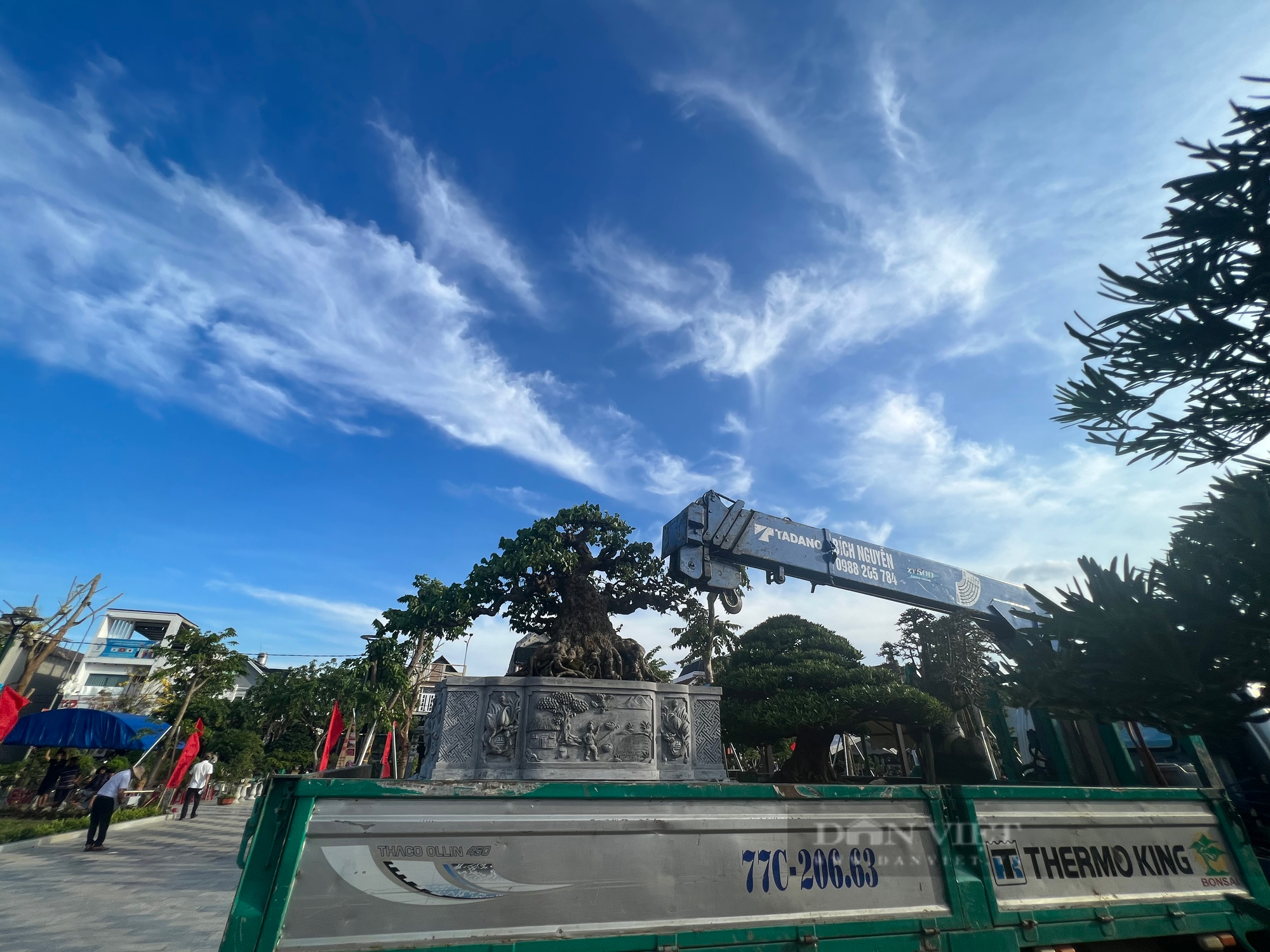 Loạt gốc bonsai "độc lạ" của gần 100 nhà vườn quy tụ về huyện trung du tại Bình Định- Ảnh 6.